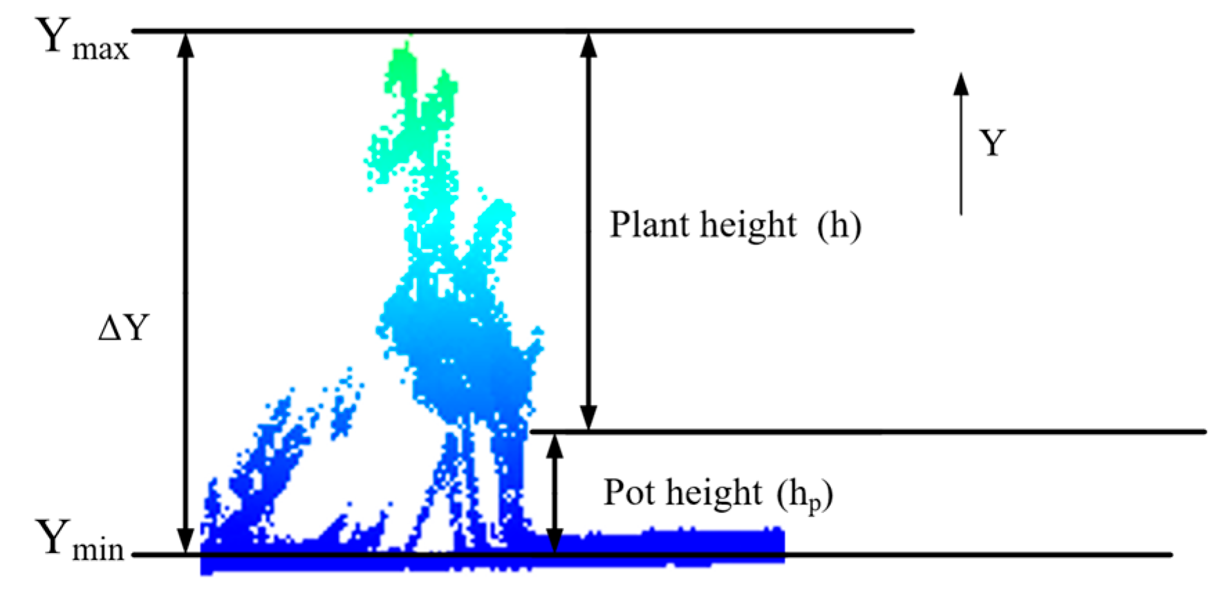 Forests 16 01785 g013