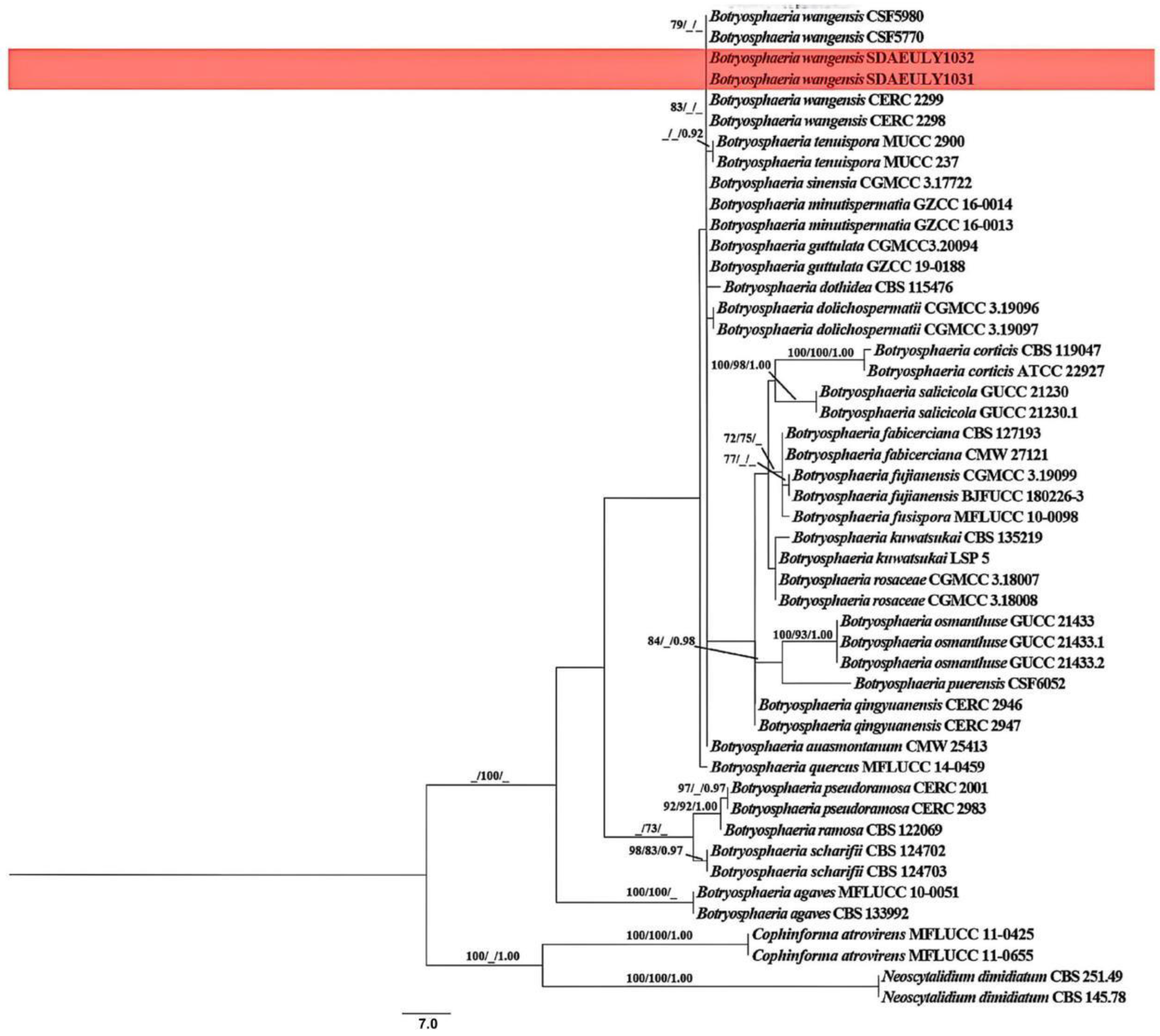 Forests 16 01786 g002
