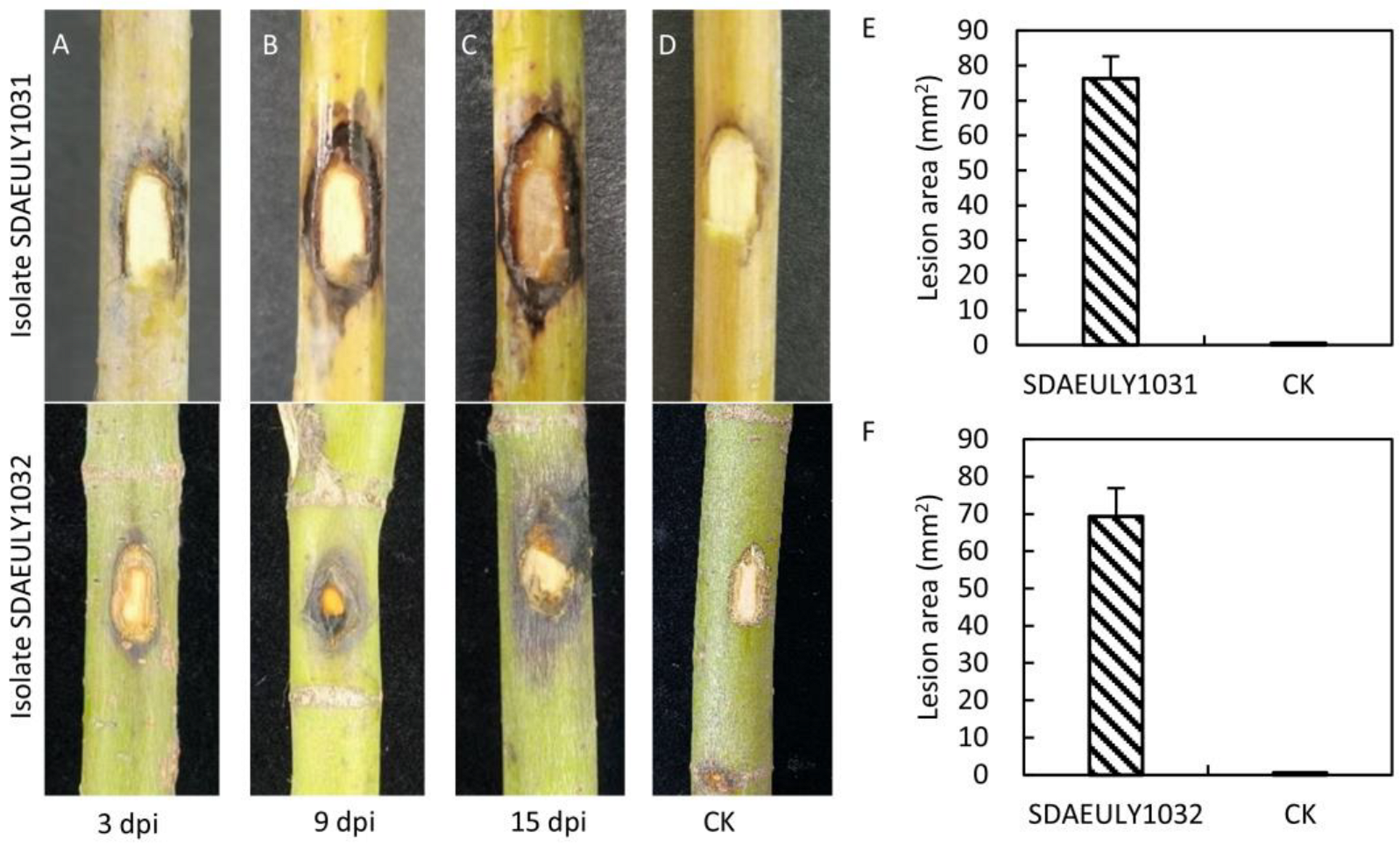Forests 16 01786 g003