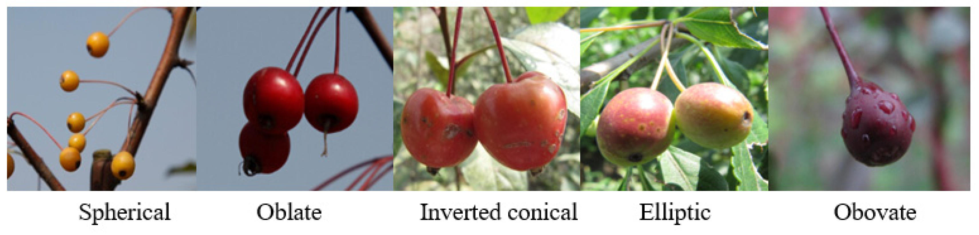 Forests 16 01792 g003 Forests 16 01792 g003