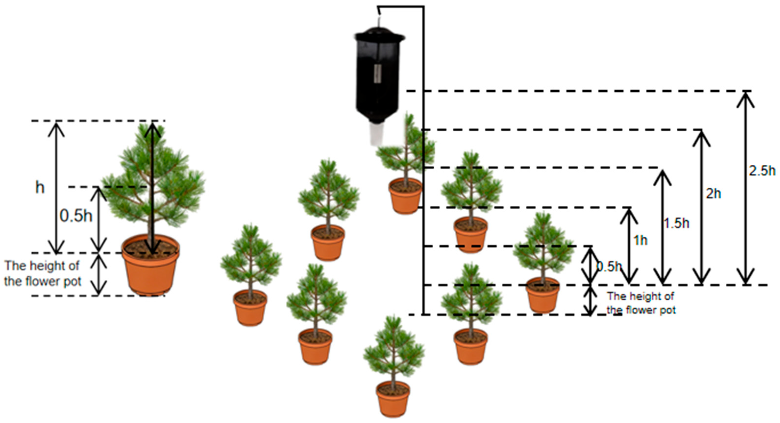 Forests 16 01797 g001 Forests 16 01797 g001