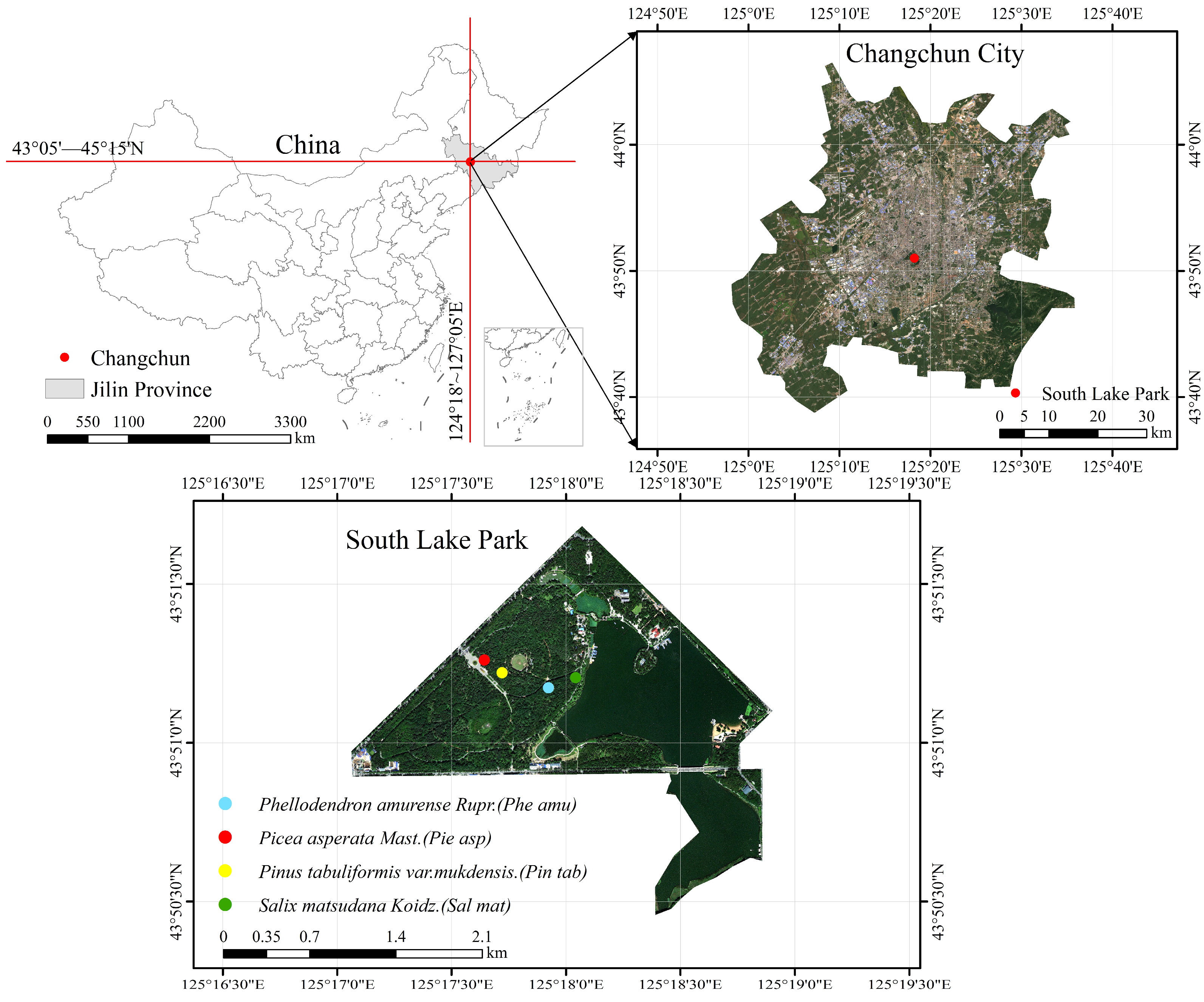 Forests 16 01798 g001 Forests 16 01798 g001