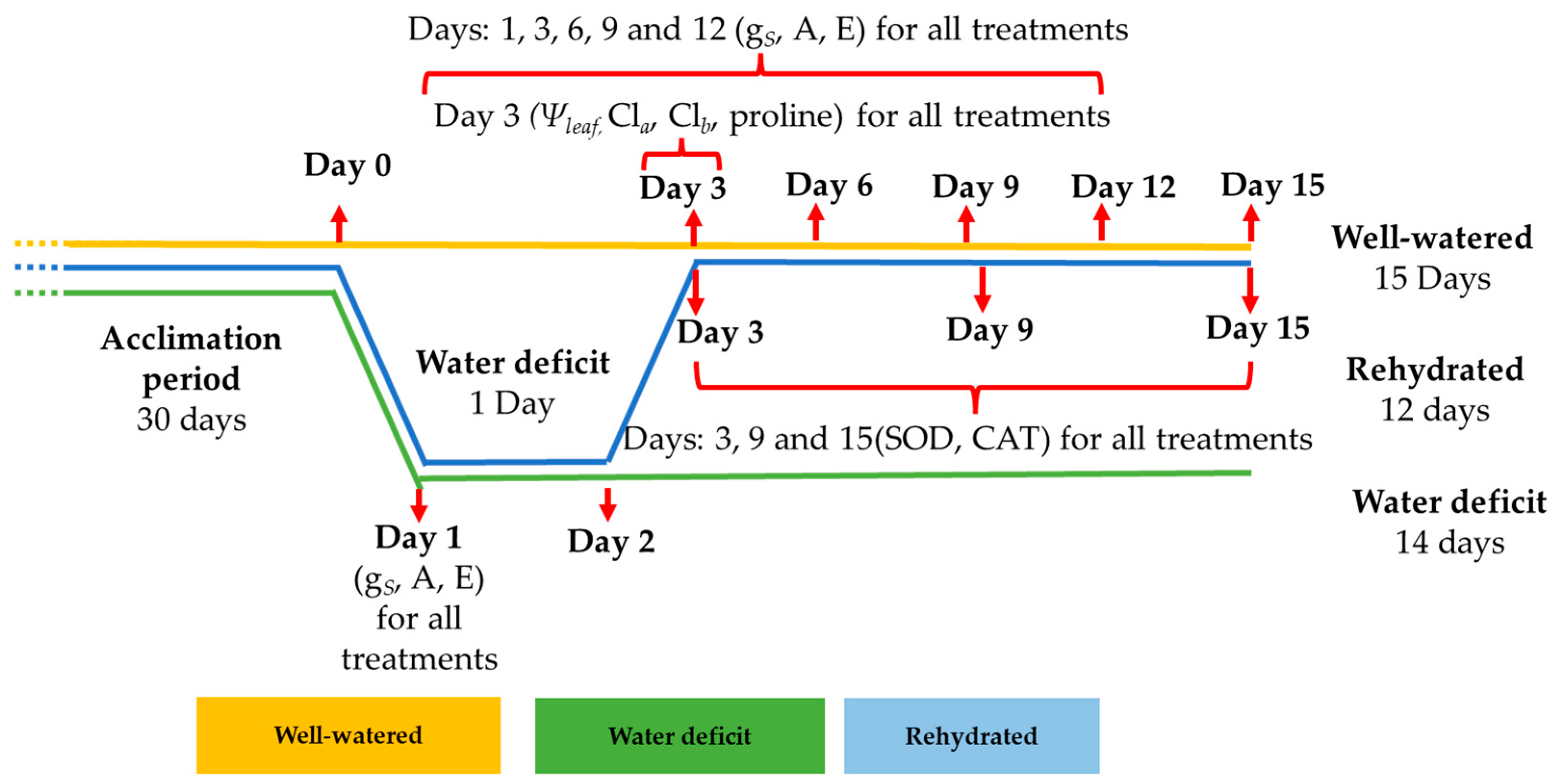Forests 16 01802 g002