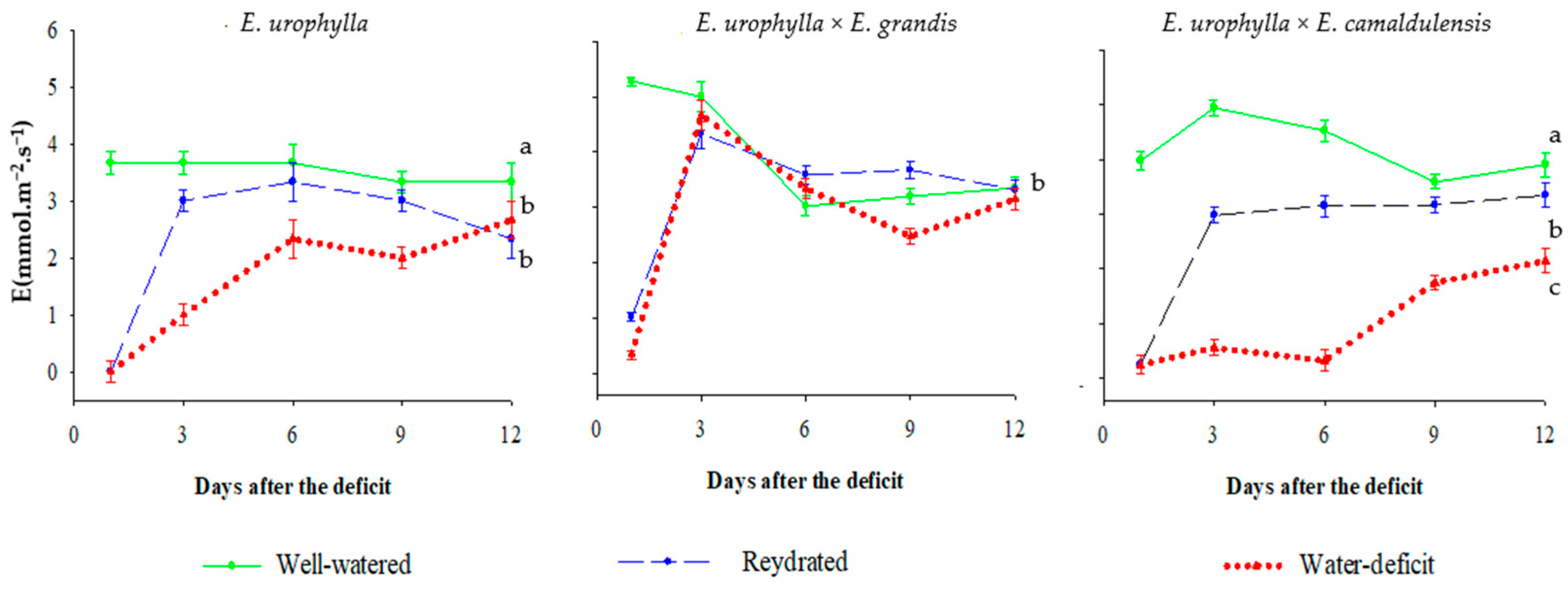 Forests 16 01802 g005