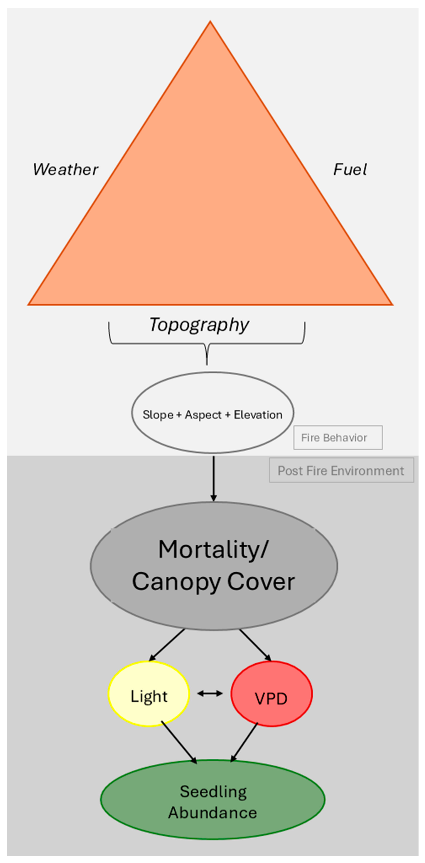 Forests 16 01806 g002
