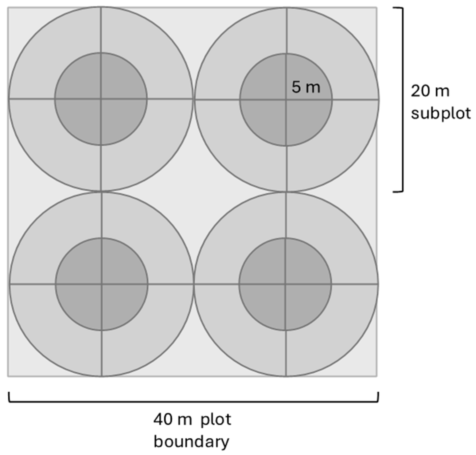 Forests 16 01806 g003