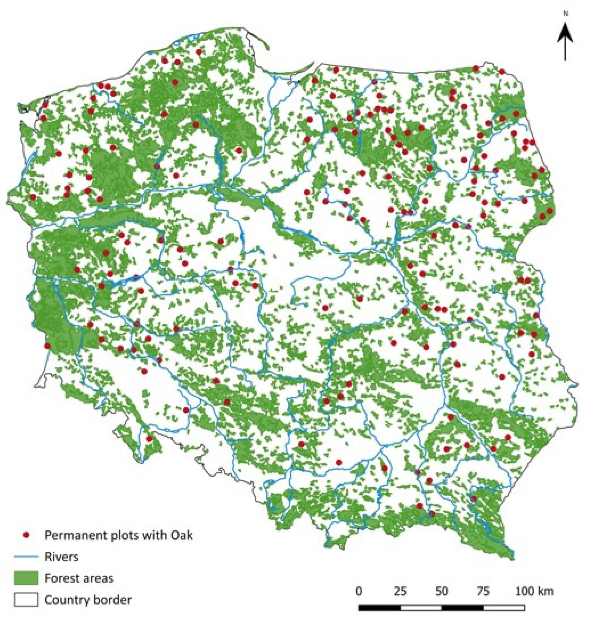 Forests 16 01807 g001 Forests 16 01807 g001