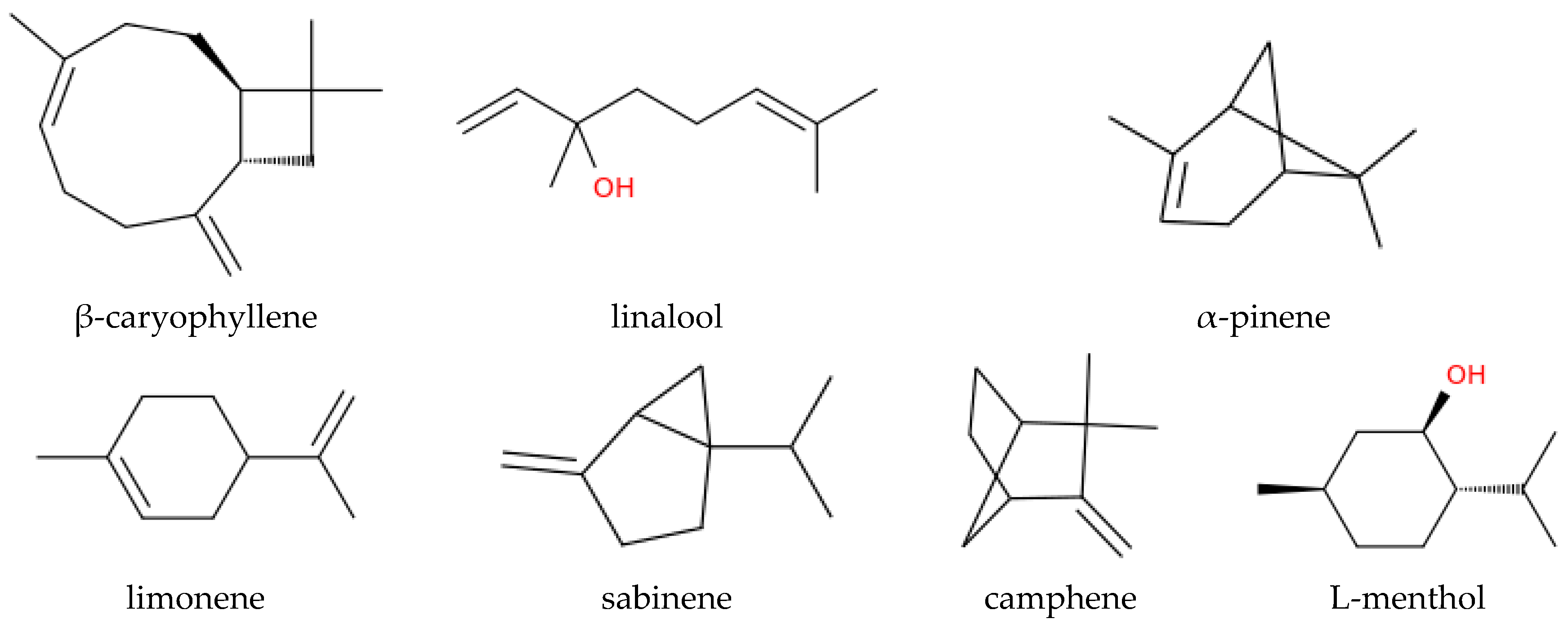 Forests 16 01808 g002