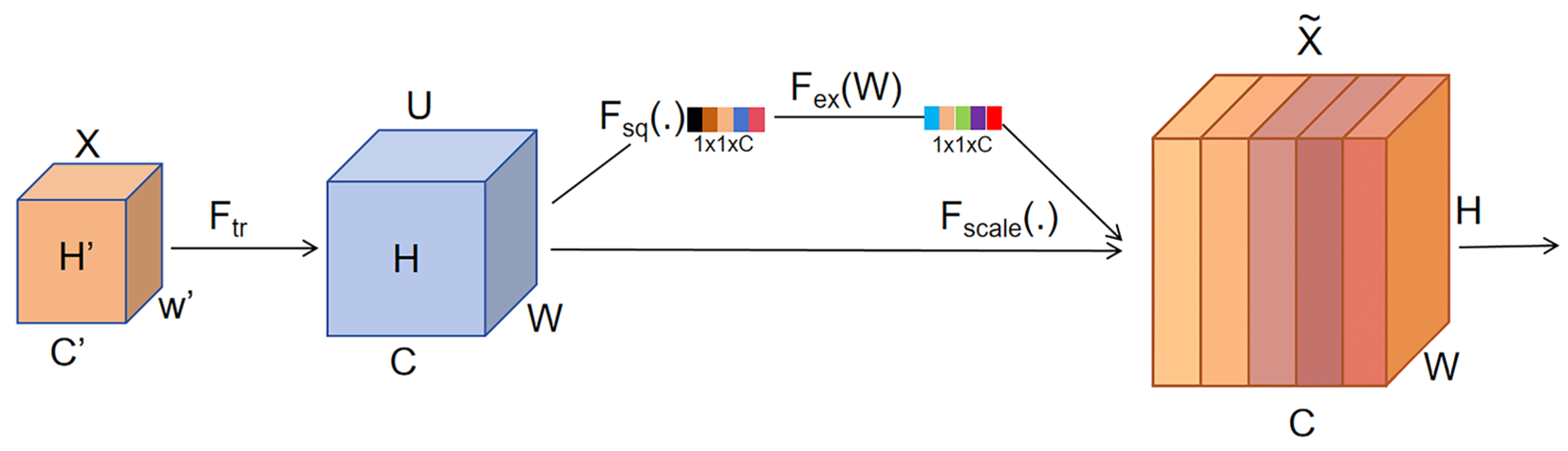 Forests 16 01818 g001