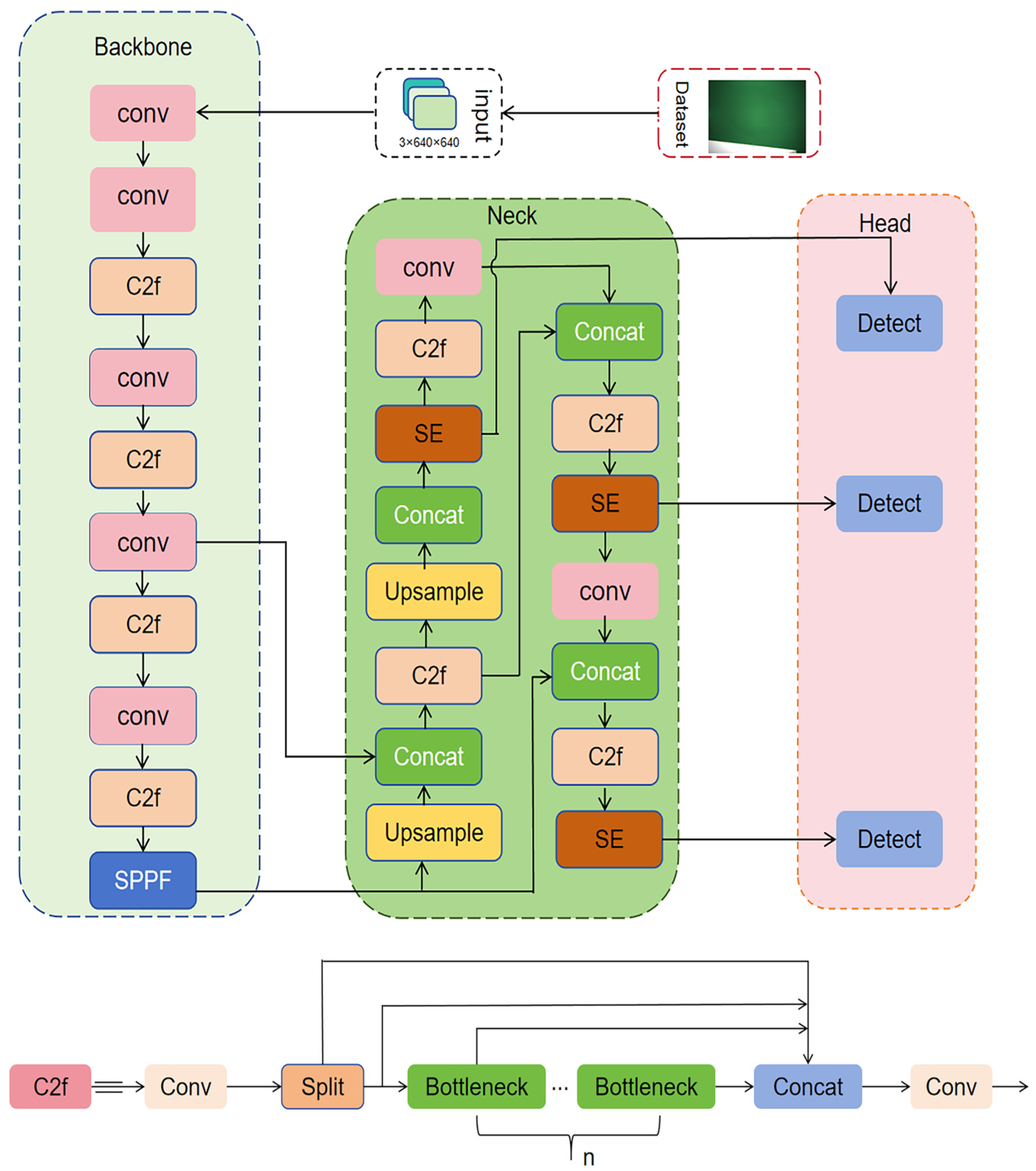 Forests 16 01818 g002