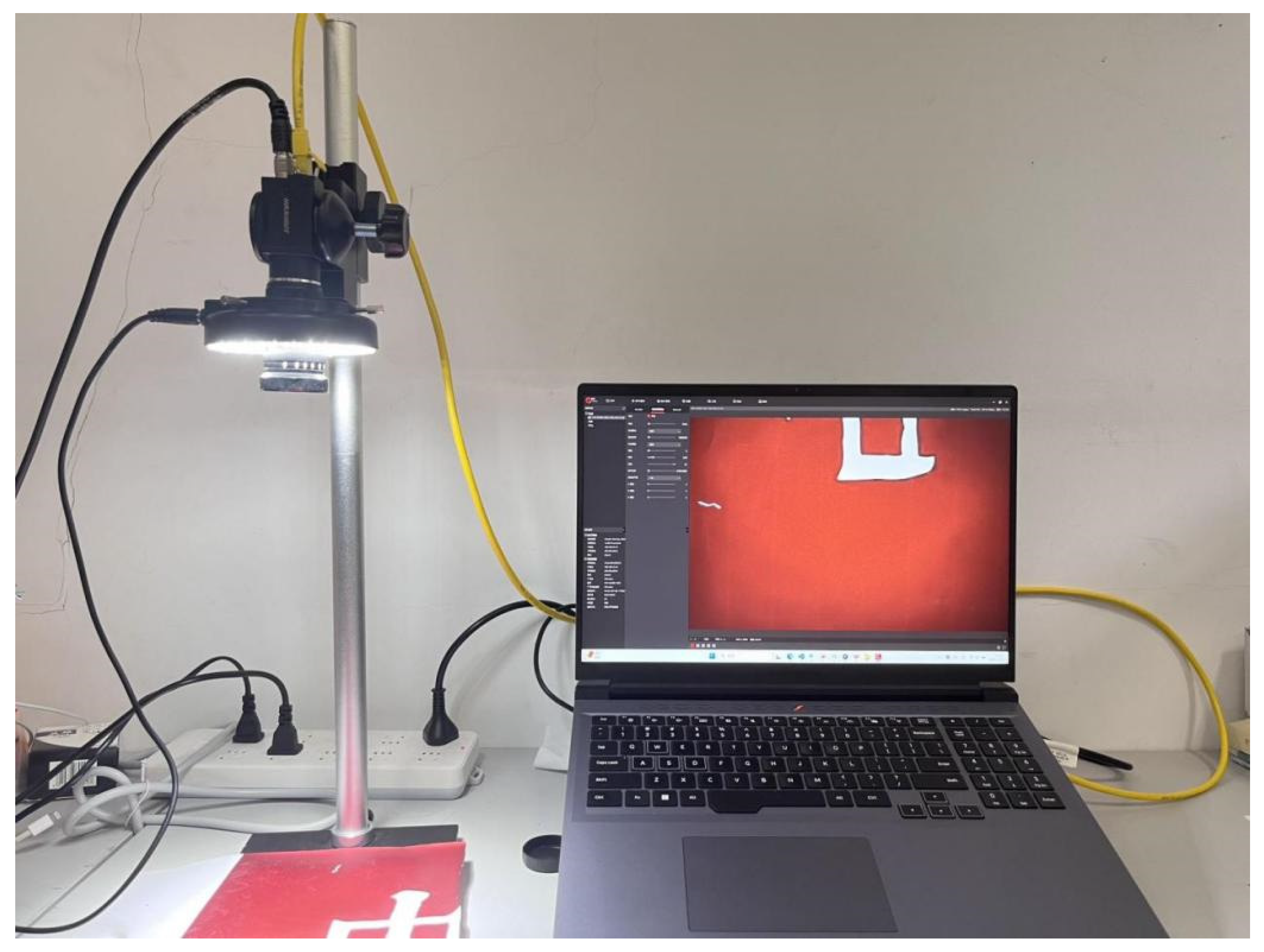 Forests 16 01818 g003
