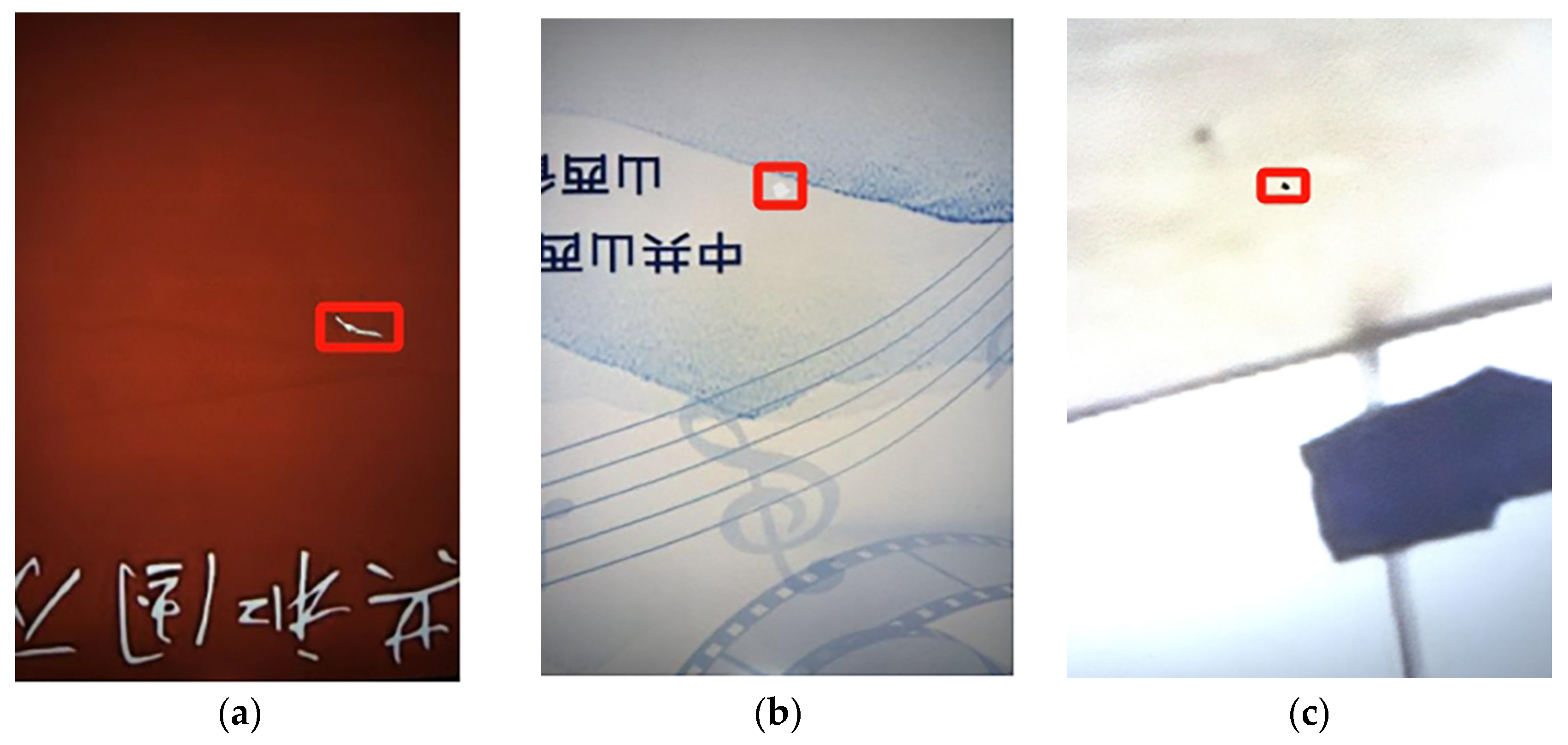 Forests 16 01818 g004