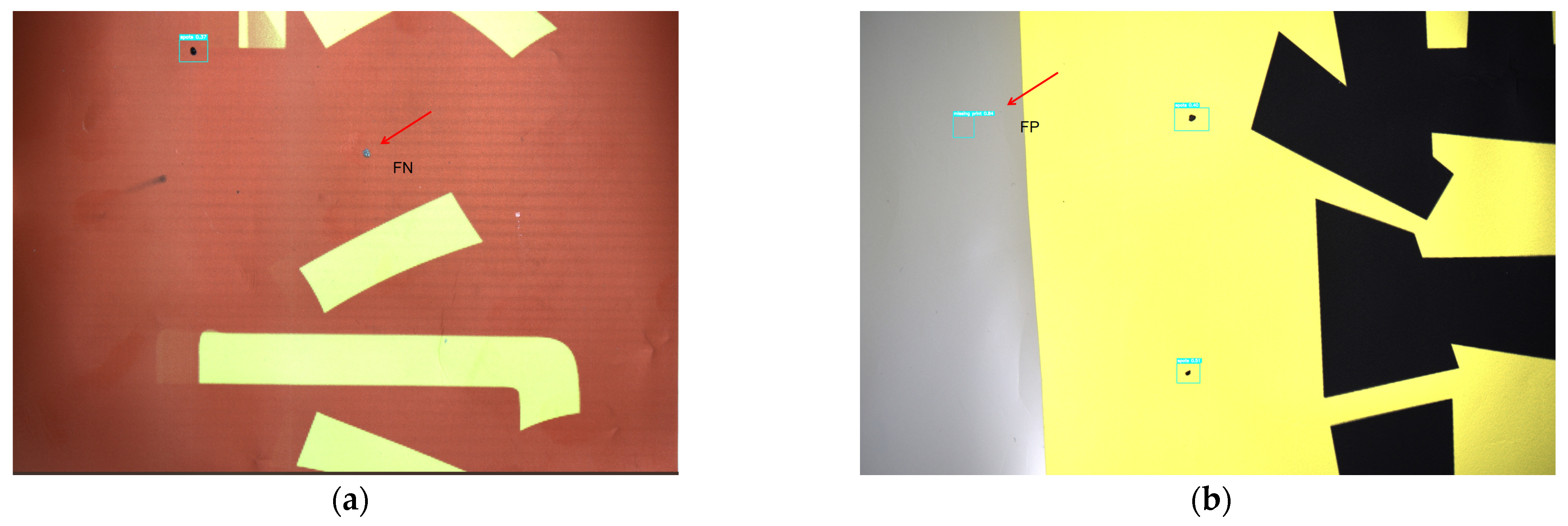 Forests 16 01818 g010