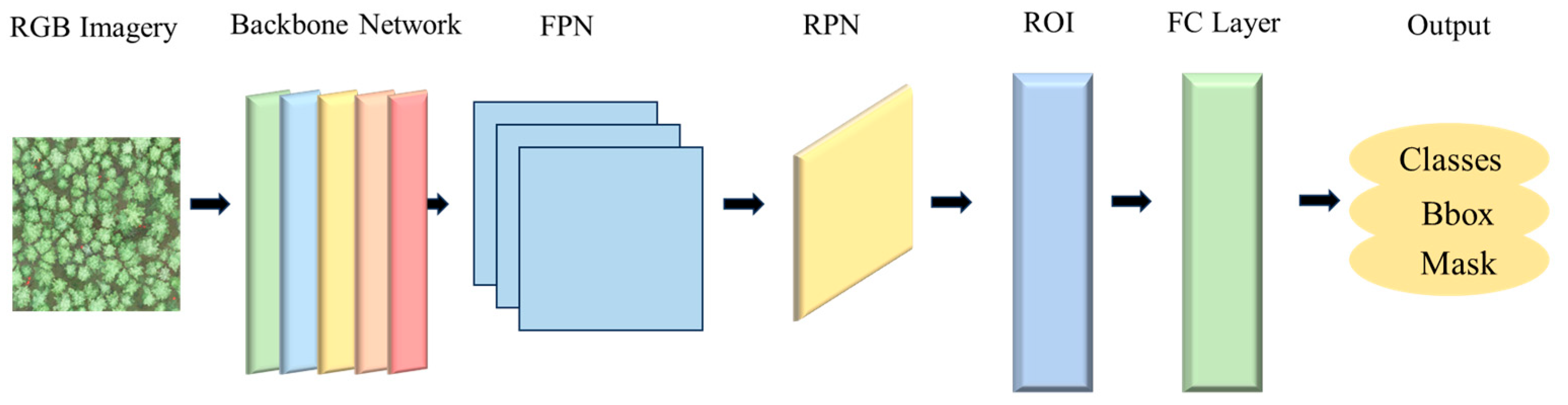 Forests 16 01819 g002