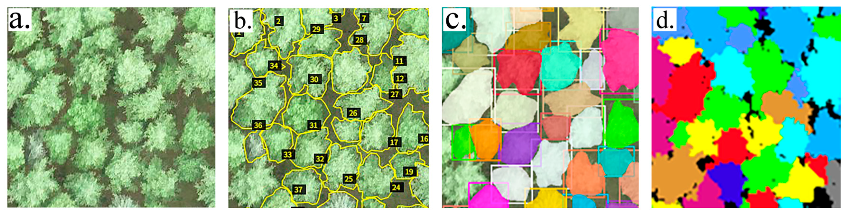 Forests 16 01819 g004