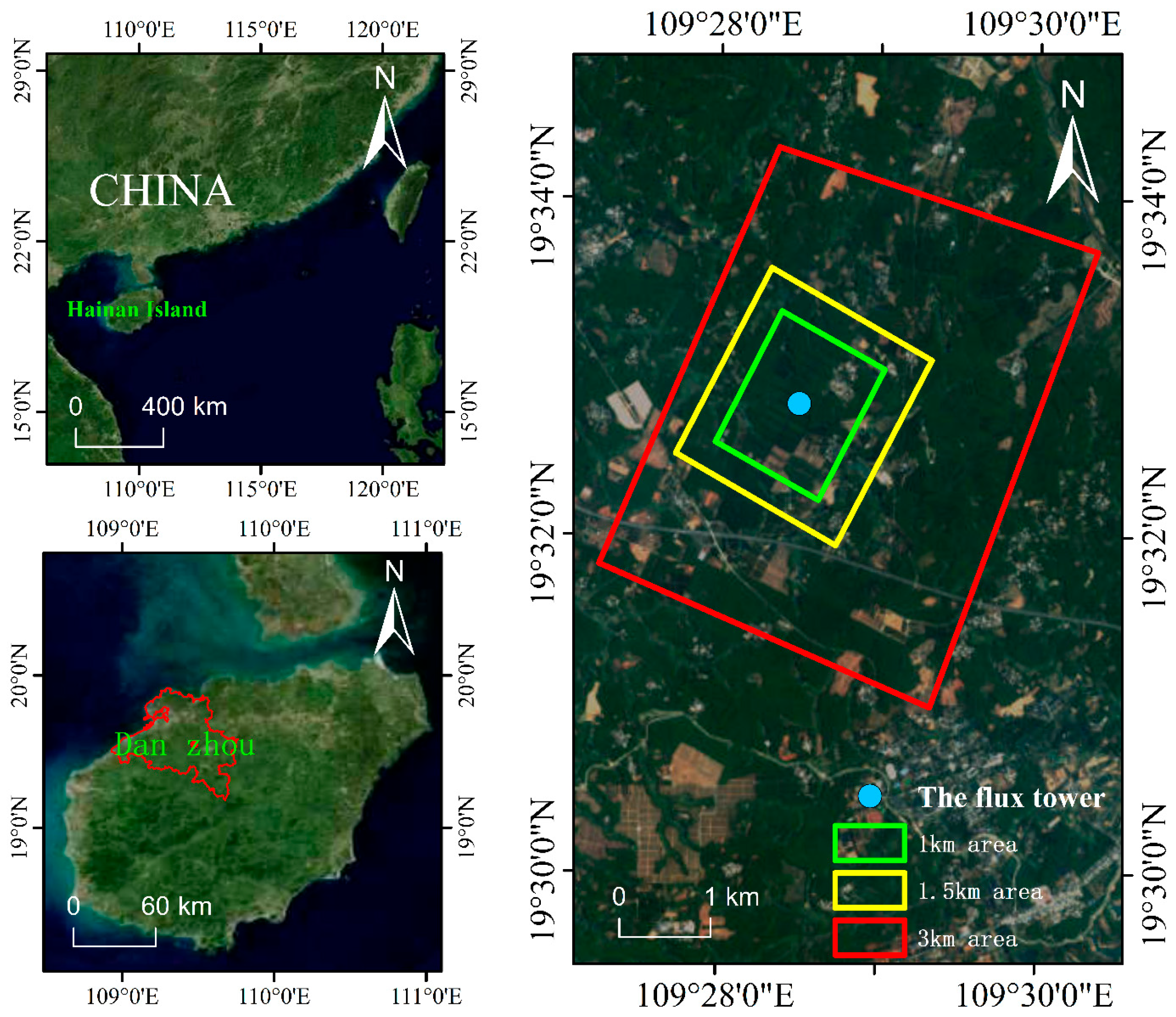 Forests 16 01820 g001
