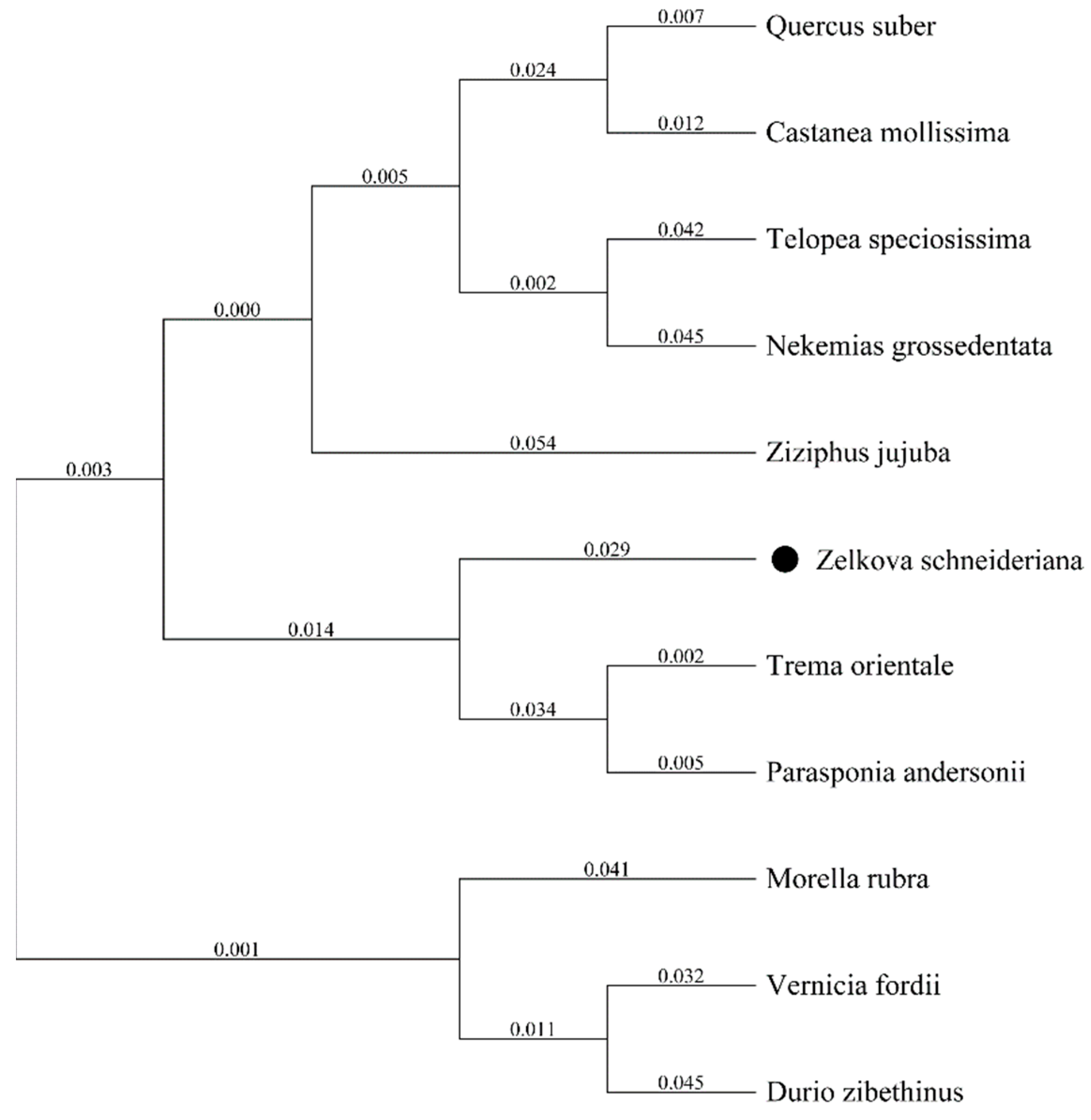 Forests 16 01838 g003