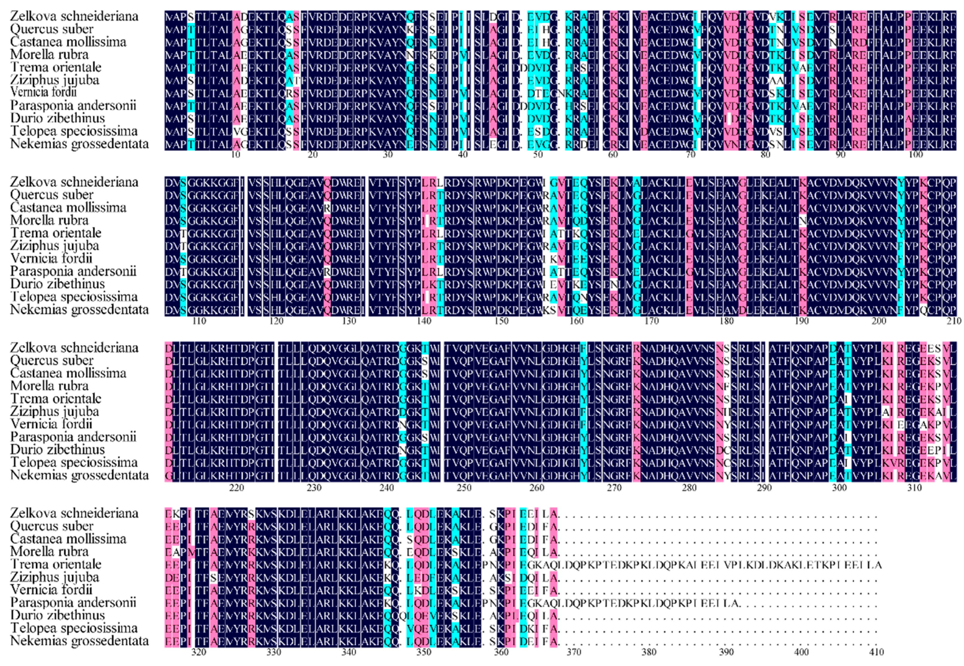 Forests 16 01838 g004