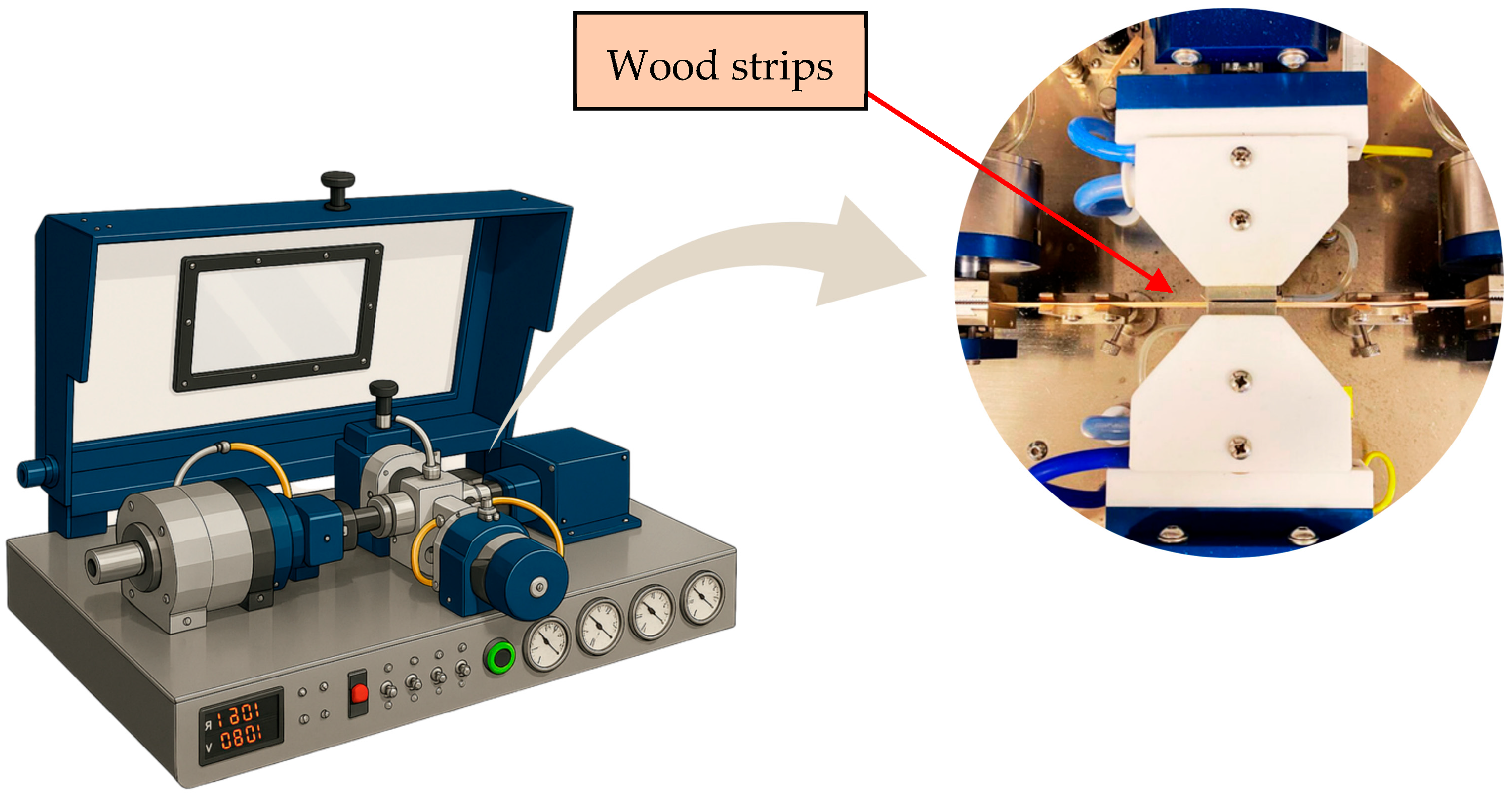 Forests 16 01843 g001 Forests 16 01843 g001