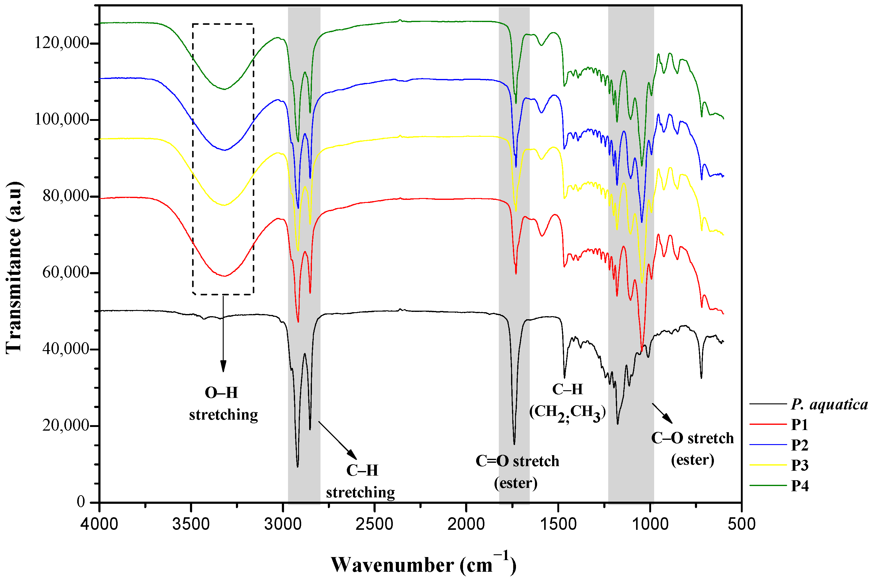 Forests 16 01843 g002 Forests 16 01843 g002