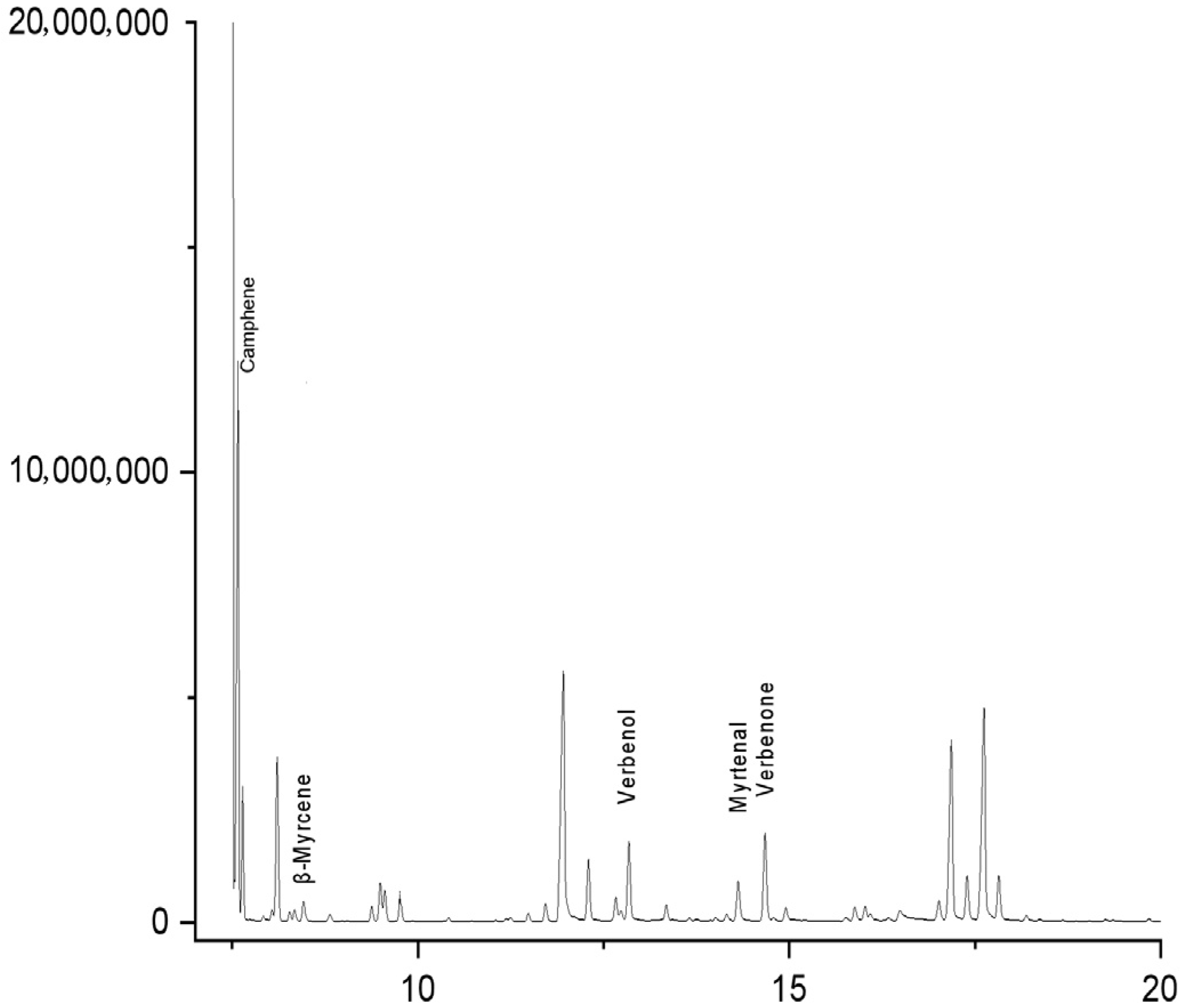 Forests 16 01847 g002