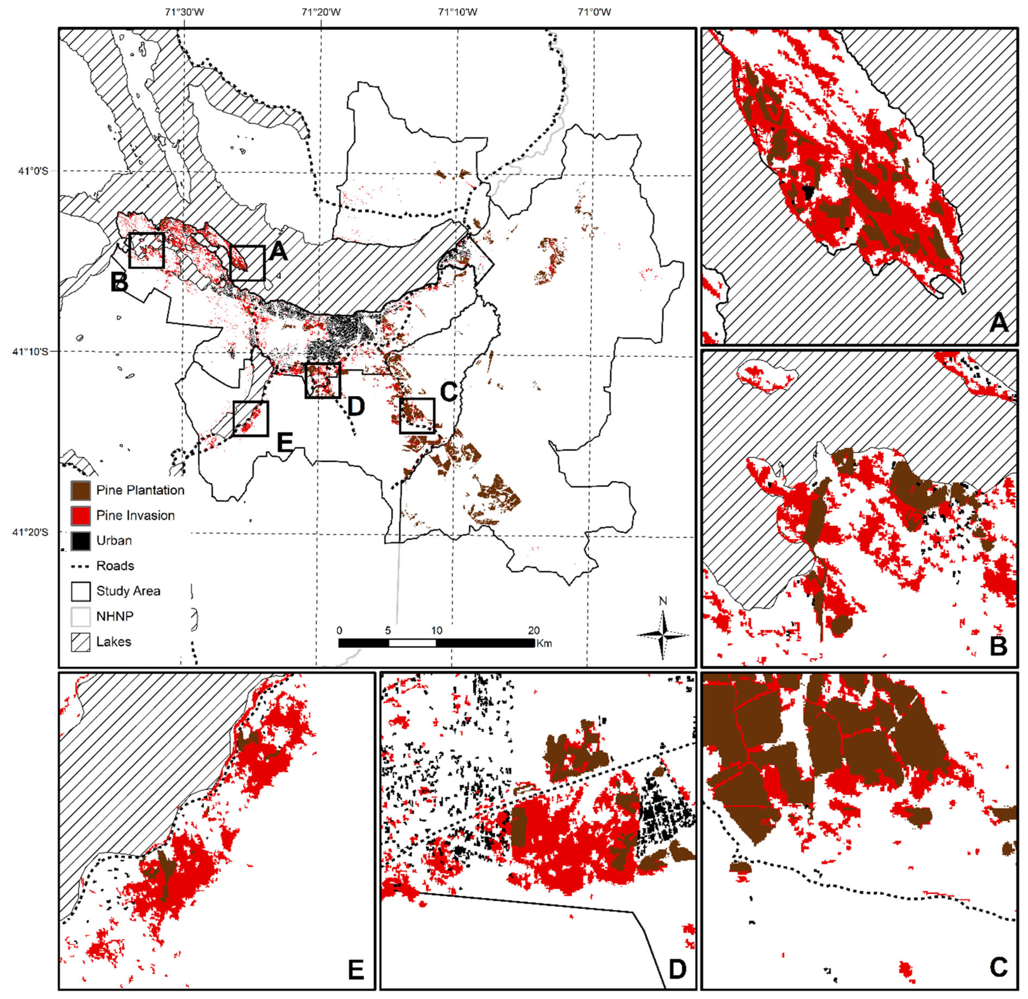 Forests 16 01853 g002 Forests 16 01853 g002