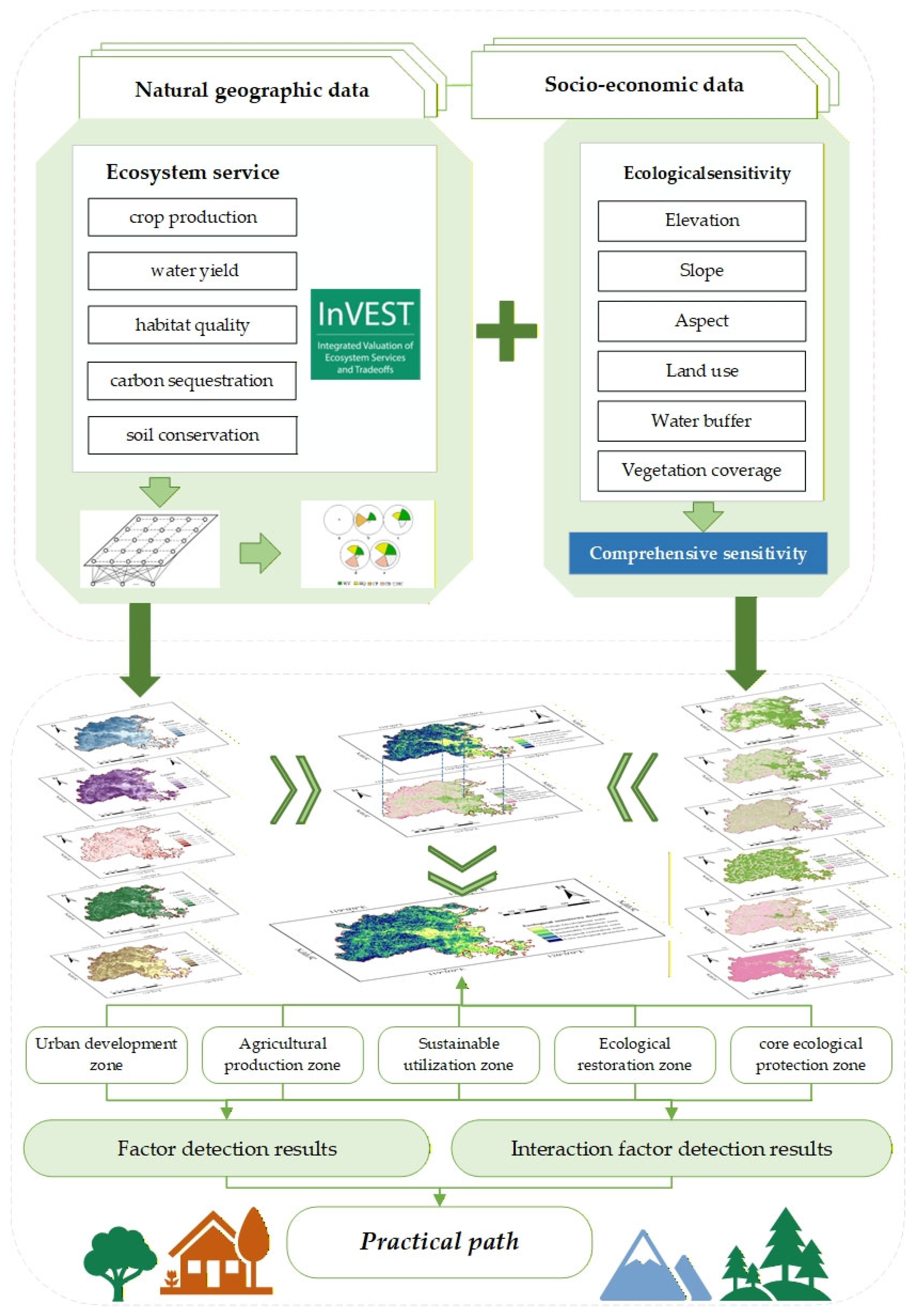 Forests 16 01856 g002 Forests 16 01856 g002