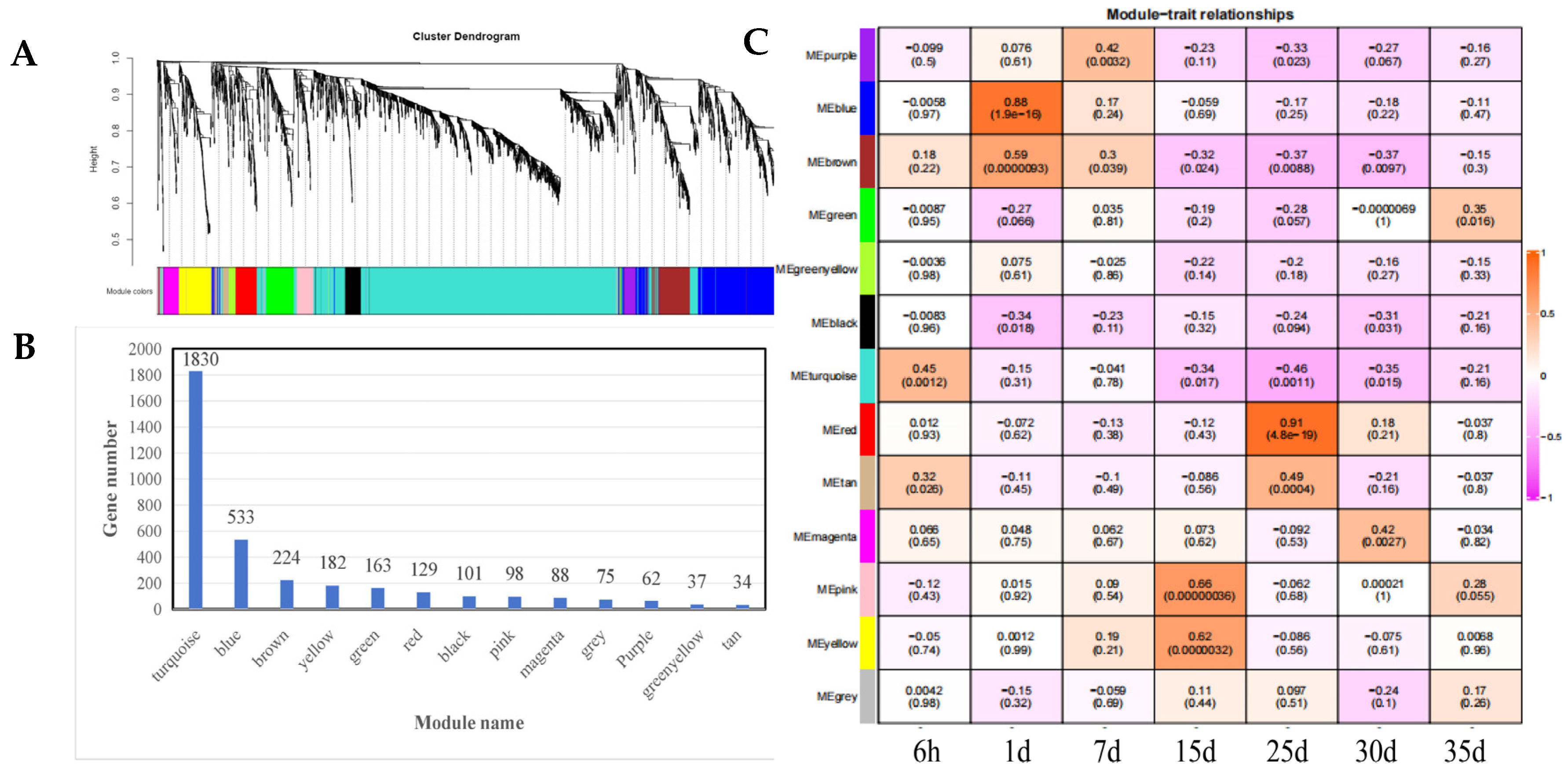 Forests 16 01858 g005