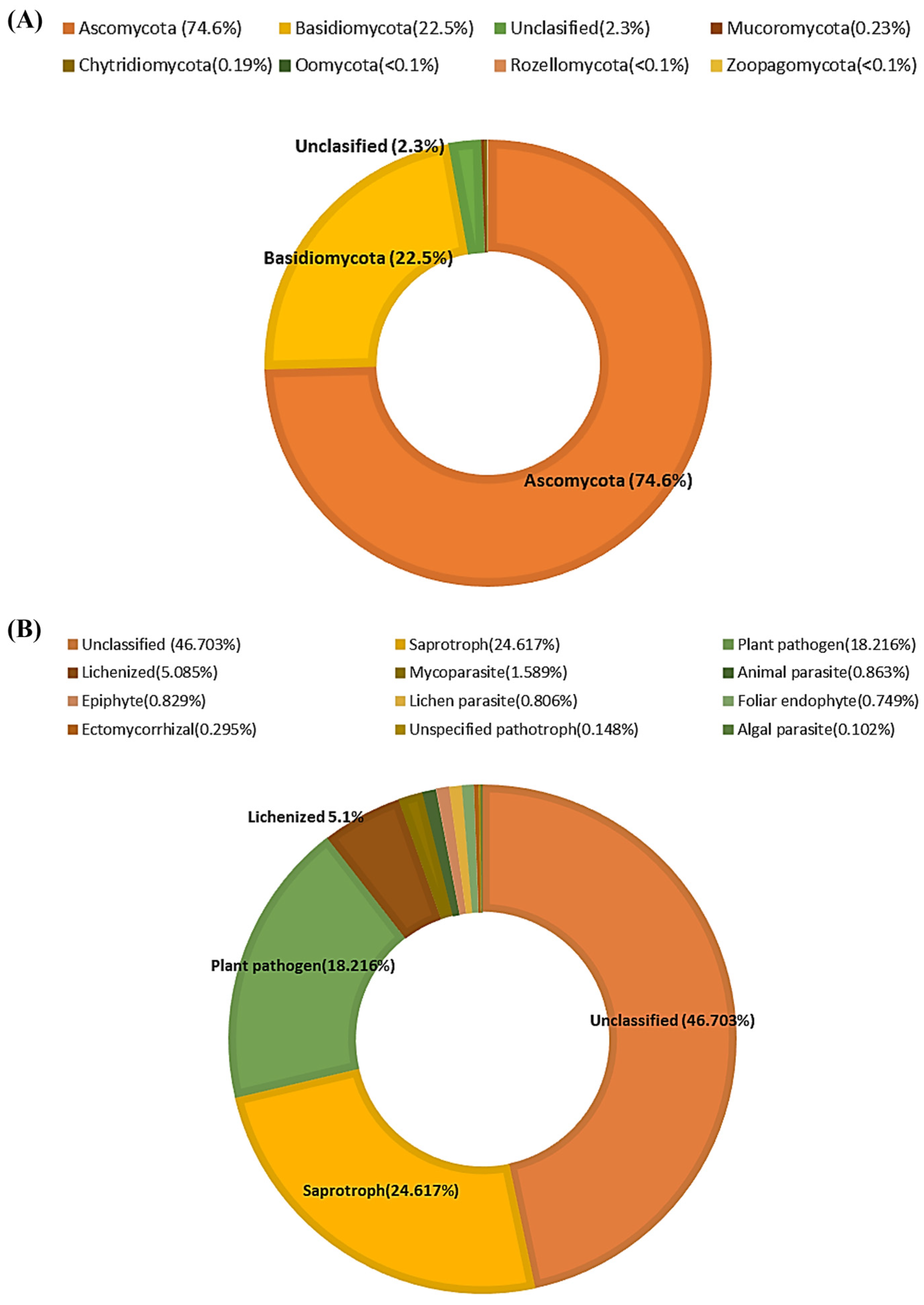Forests 16 01859 g001
