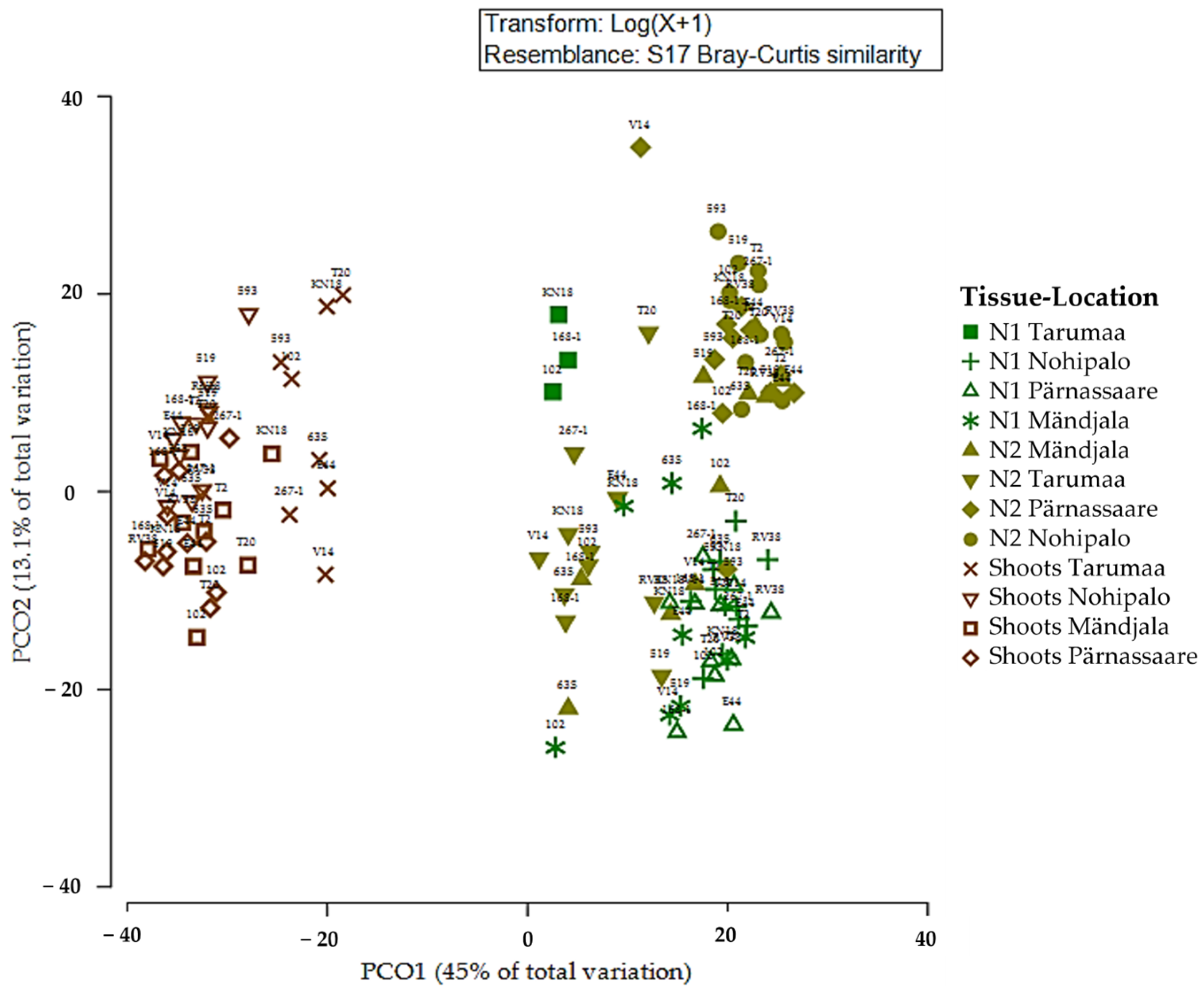 Forests 16 01859 g007