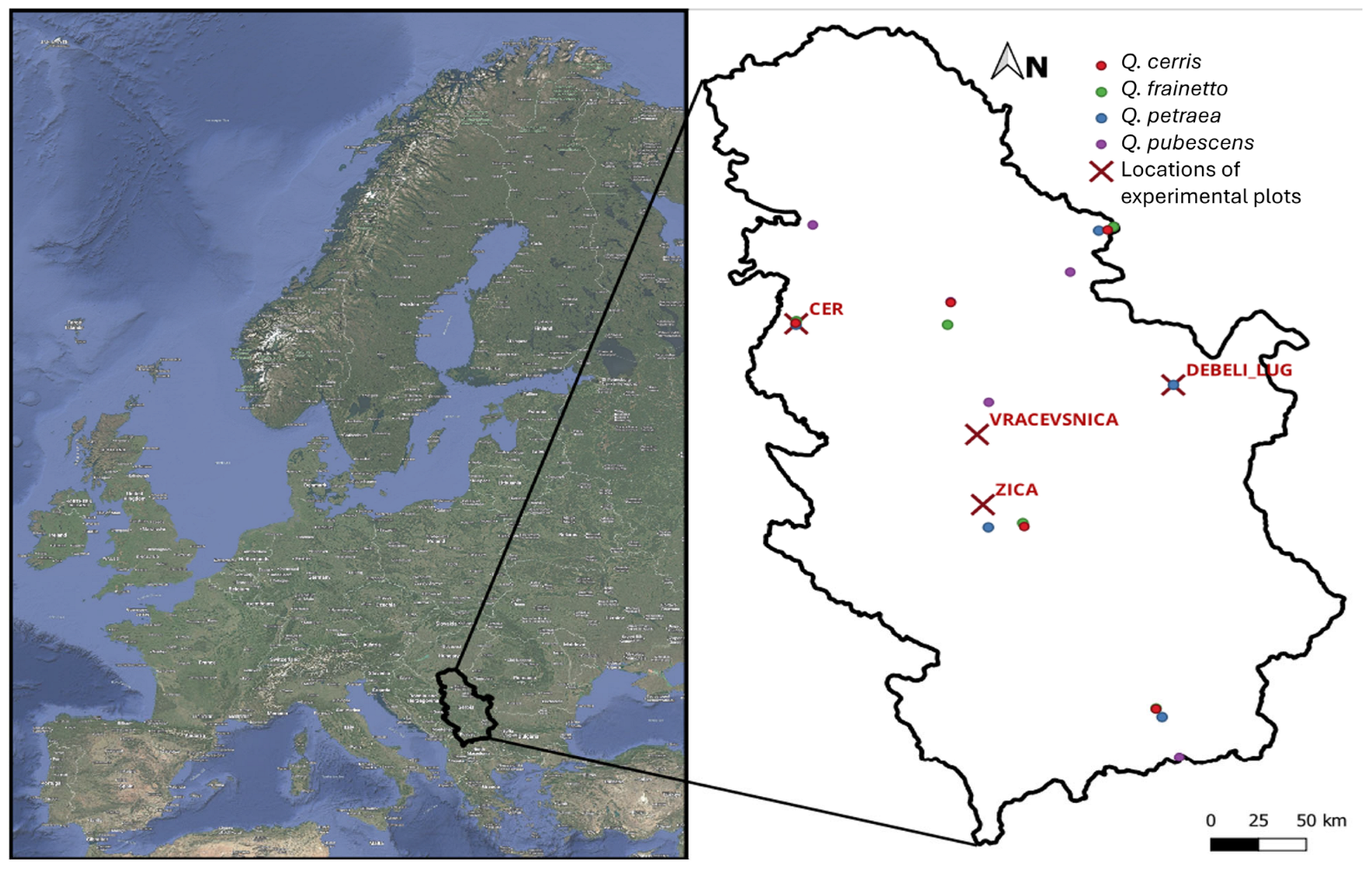 Forests 17 00003 g001 Forests 17 00003 g001