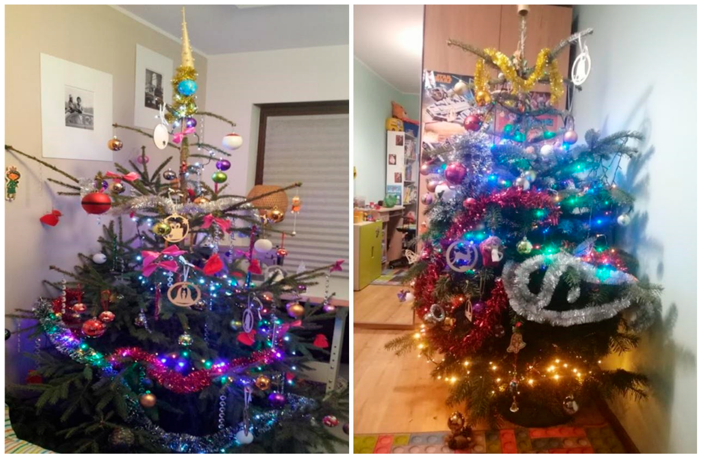 Forests 17 00010 g001