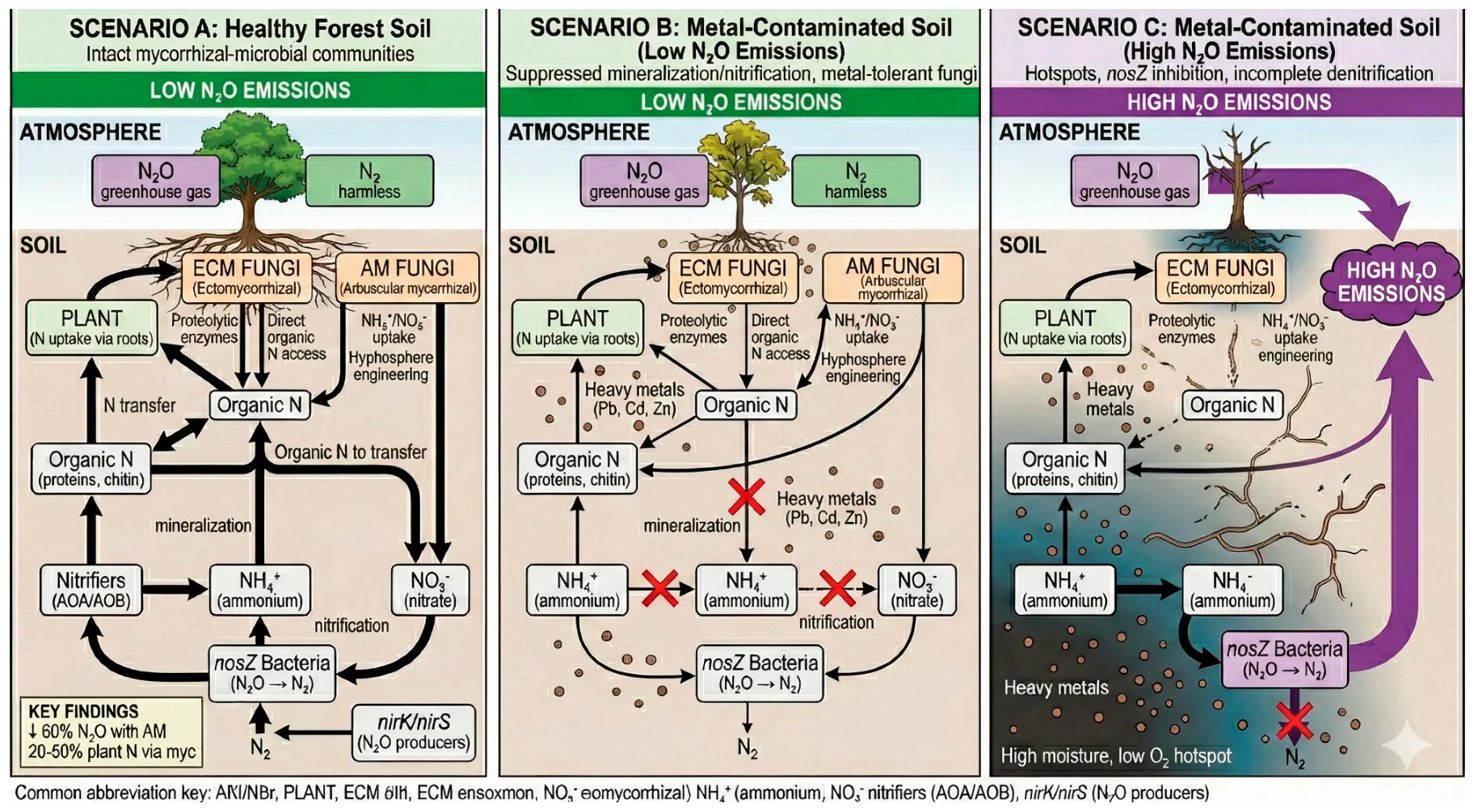 Forests 17 00012 g002