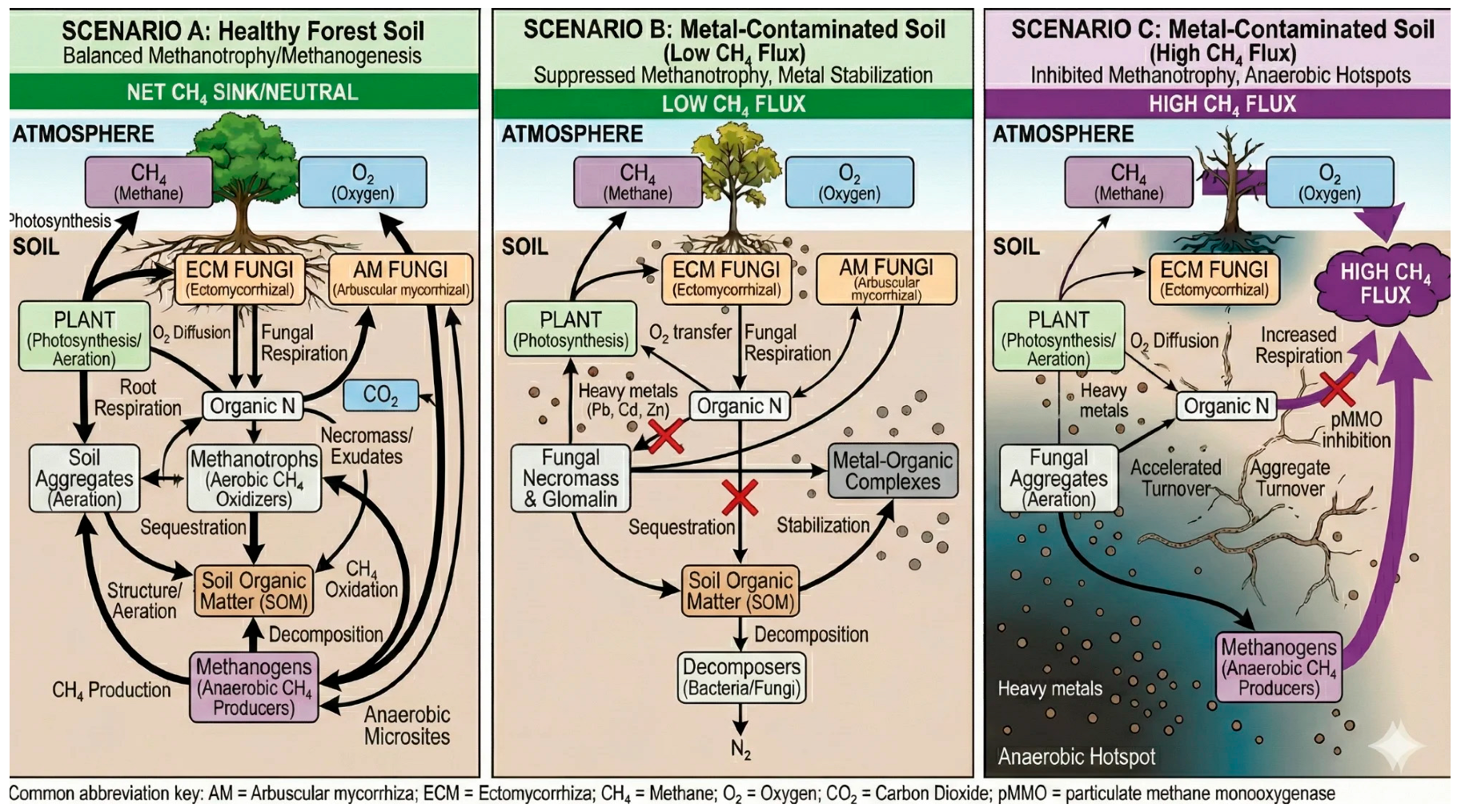 Forests 17 00012 g003