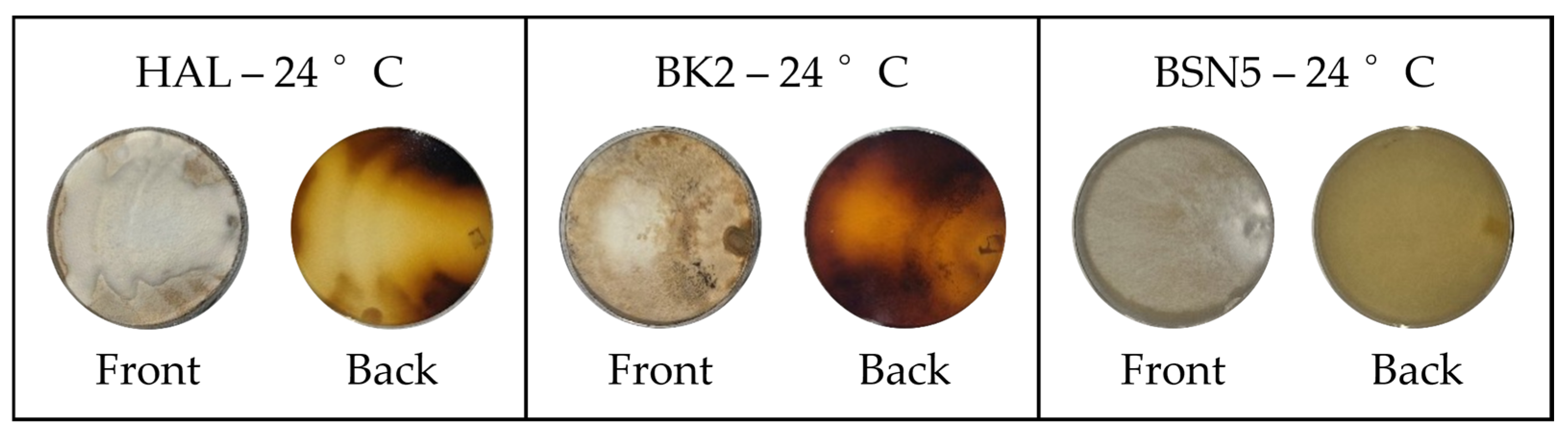 Forests 17 00019 g002