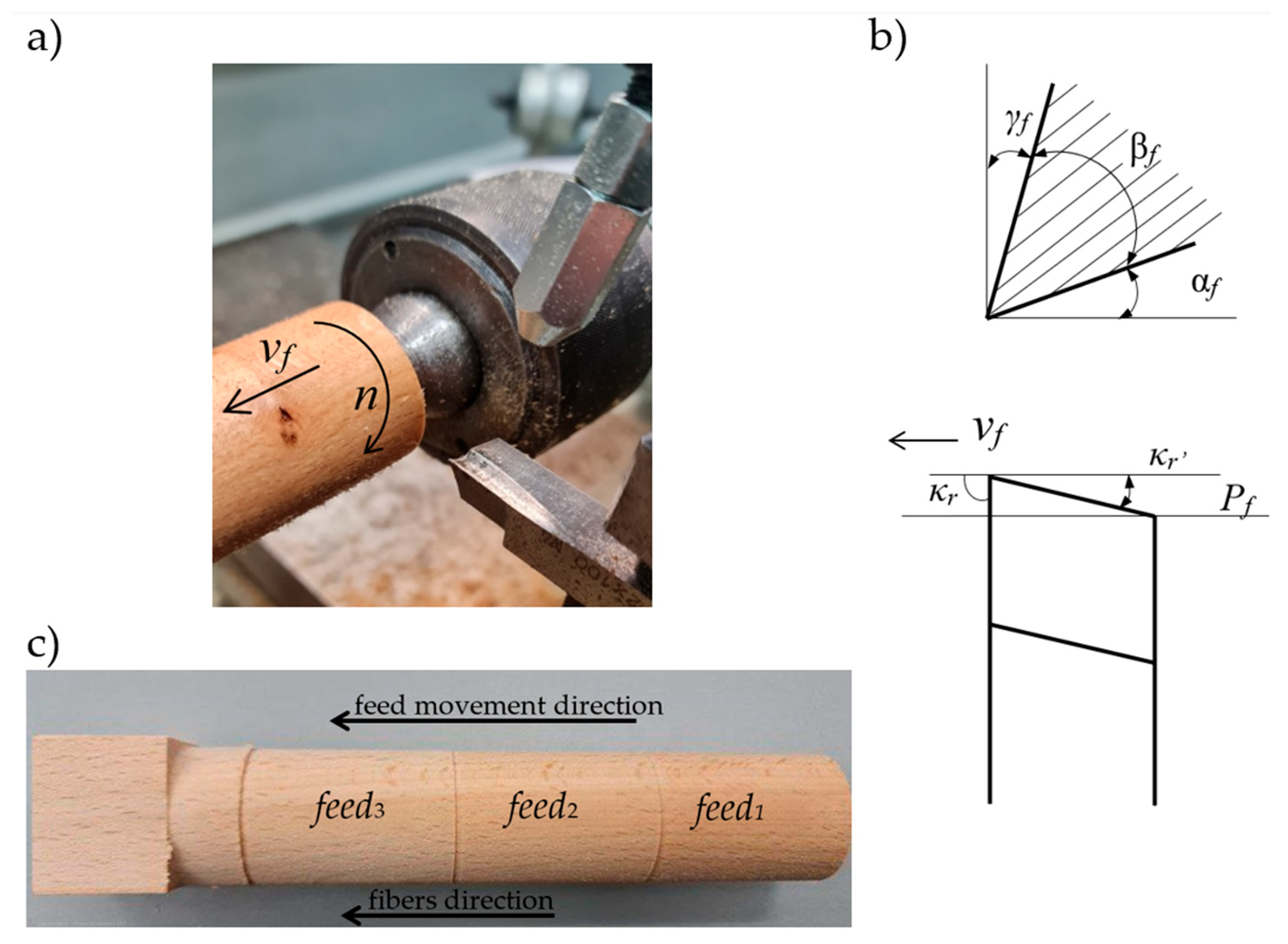 Forests 17 00024 g001