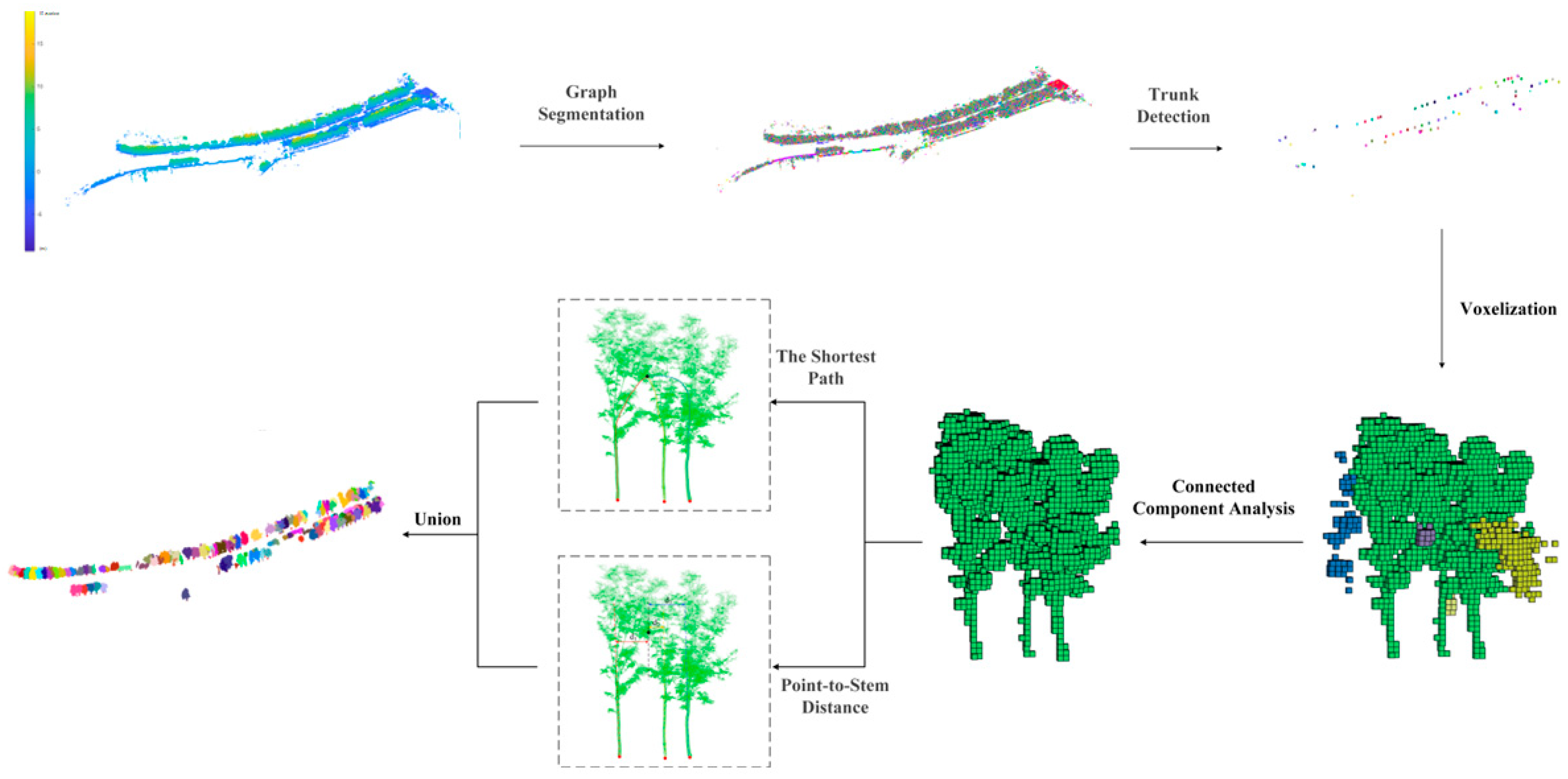 Forests 17 00027 g001