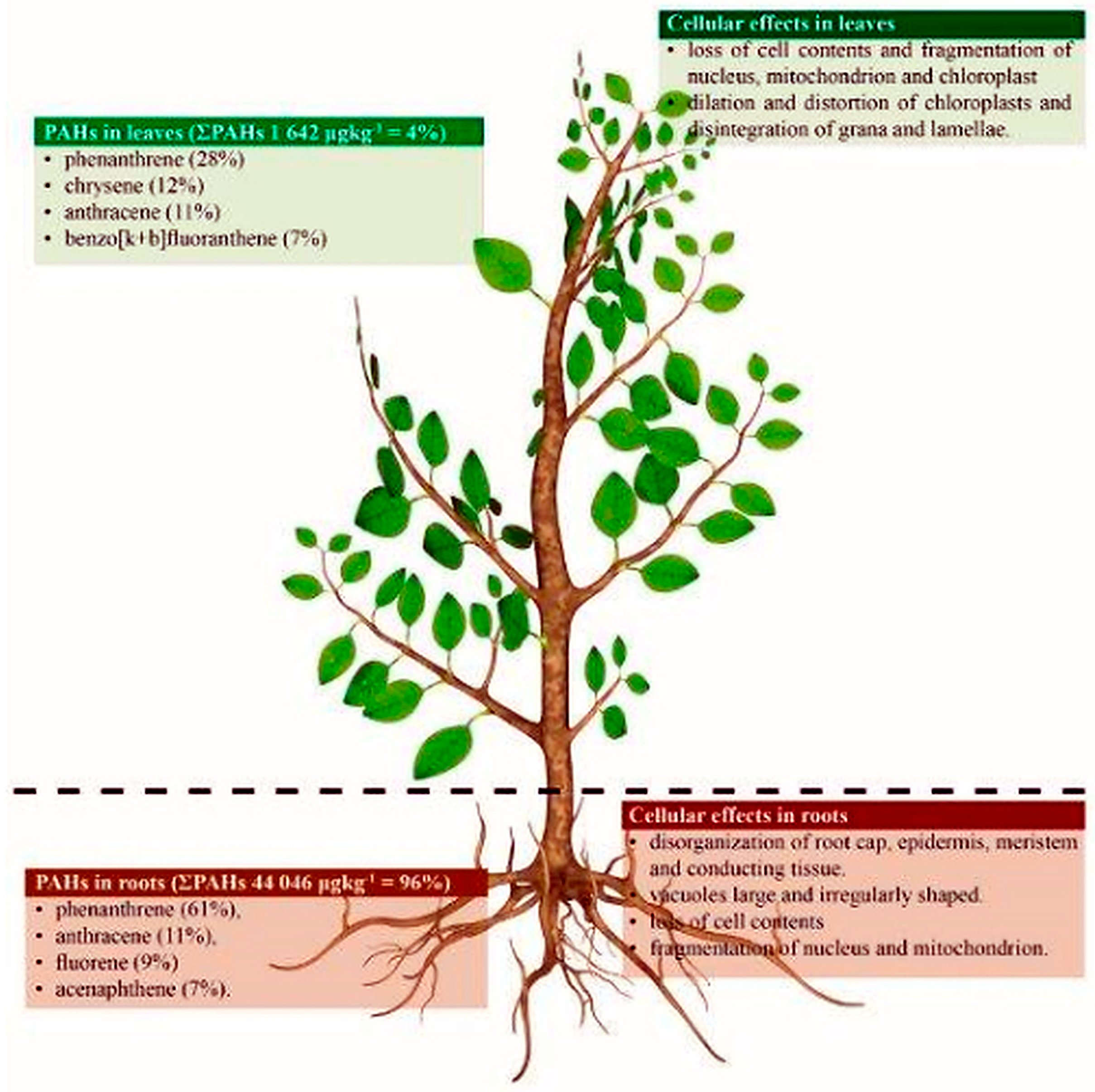 Forests 17 00043 g002