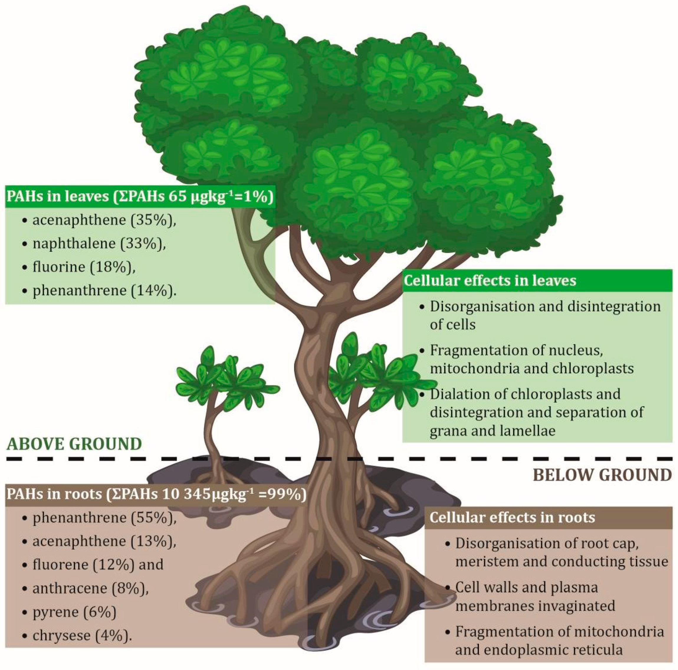 Forests 17 00043 g003