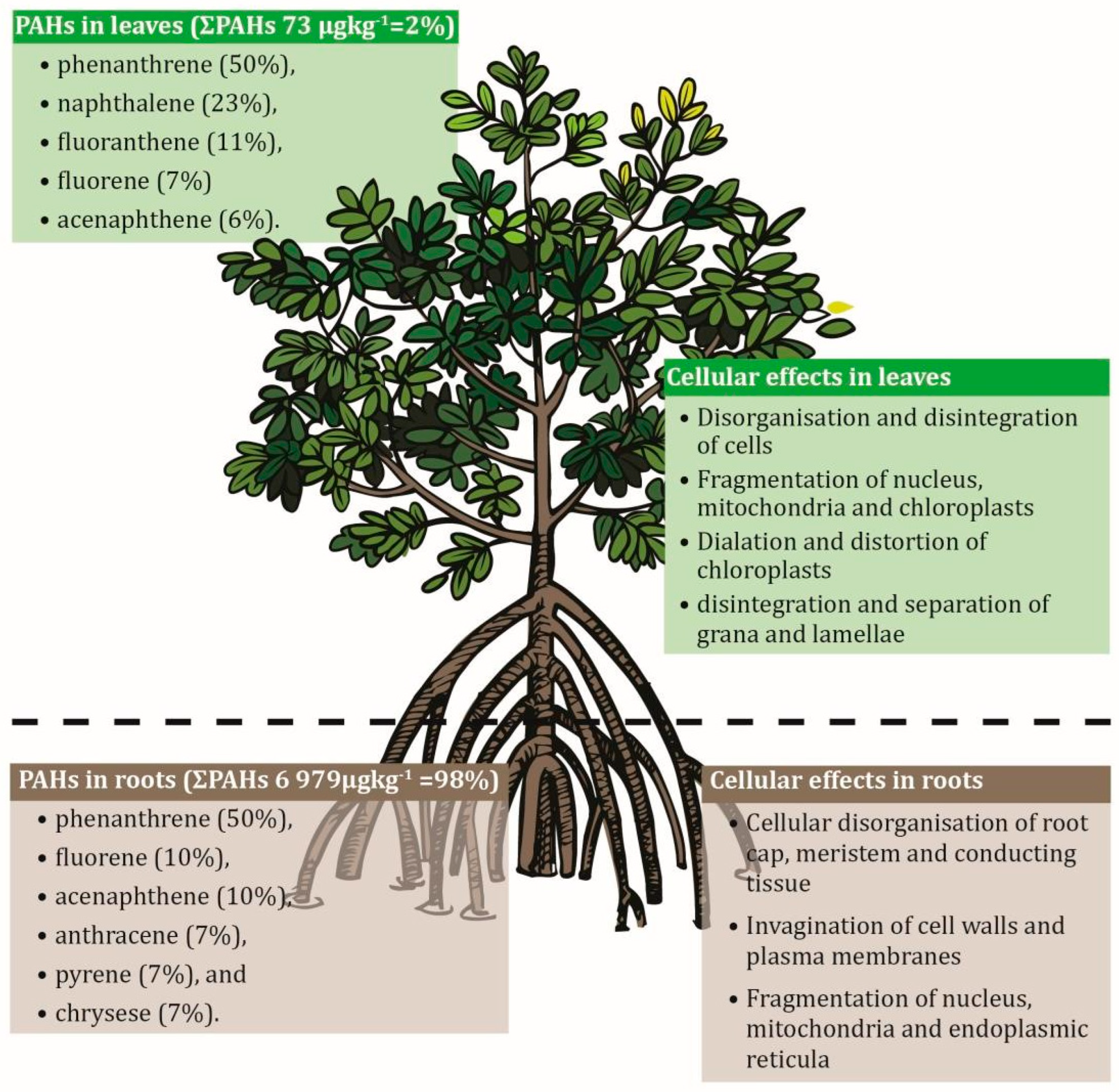 Forests 17 00043 g004