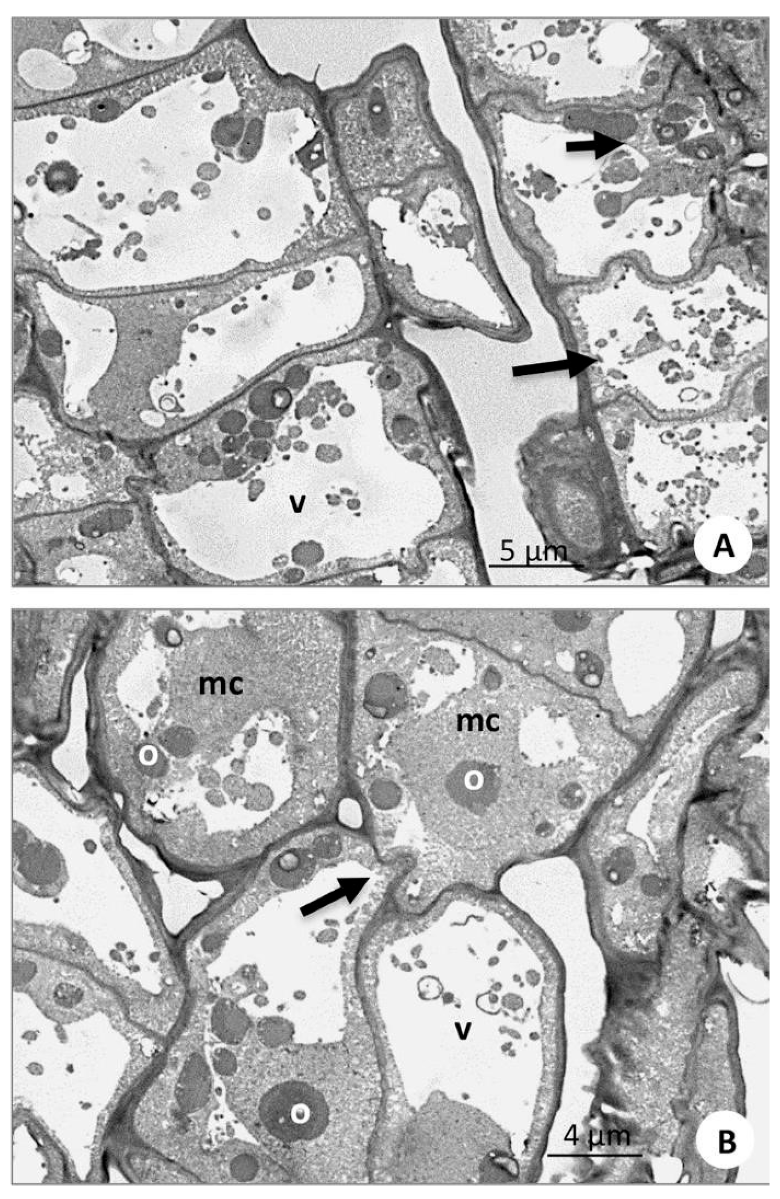 Forests 17 00043 g006