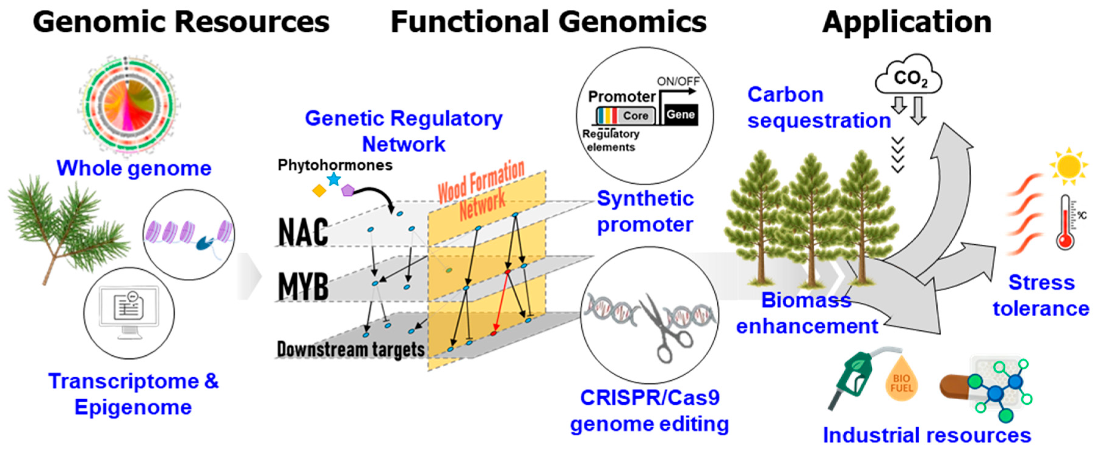 Forests 17 00048 g001