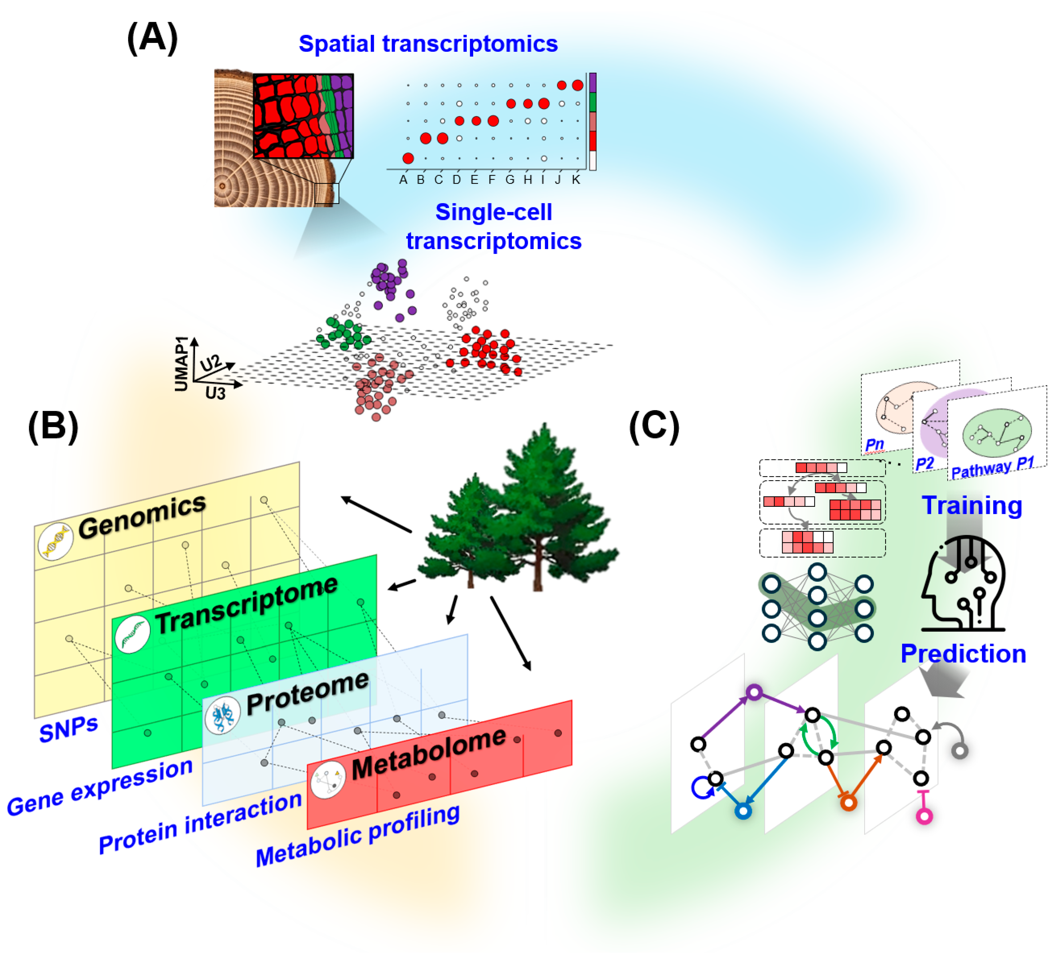 Forests 17 00048 g003