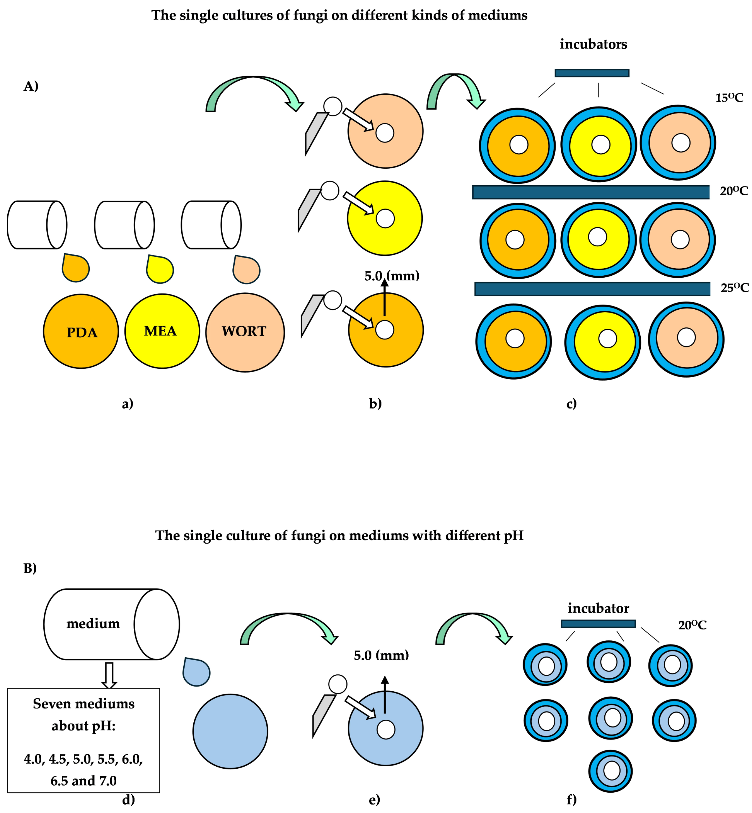 Forests 17 00051 g001