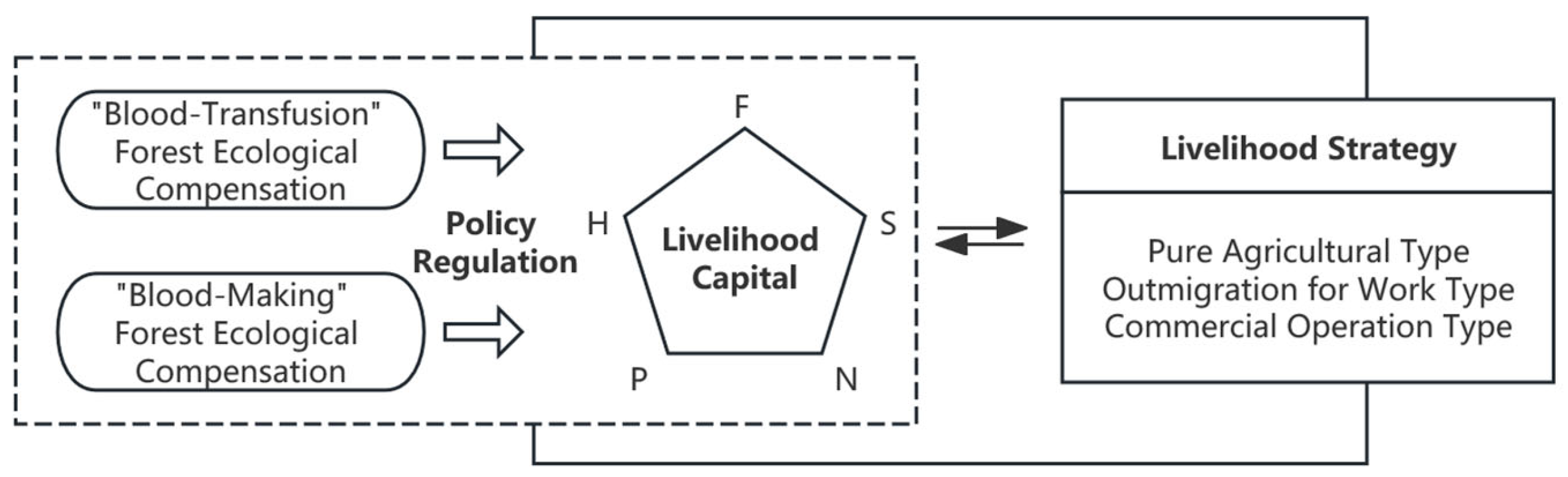 Forests 17 00053 g004 Forests 17 00053 g004