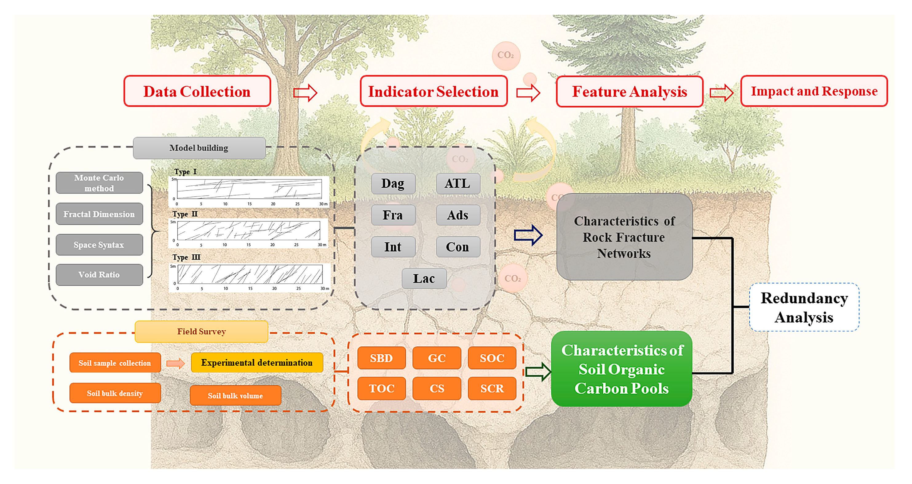 Forests 17 00059 g002