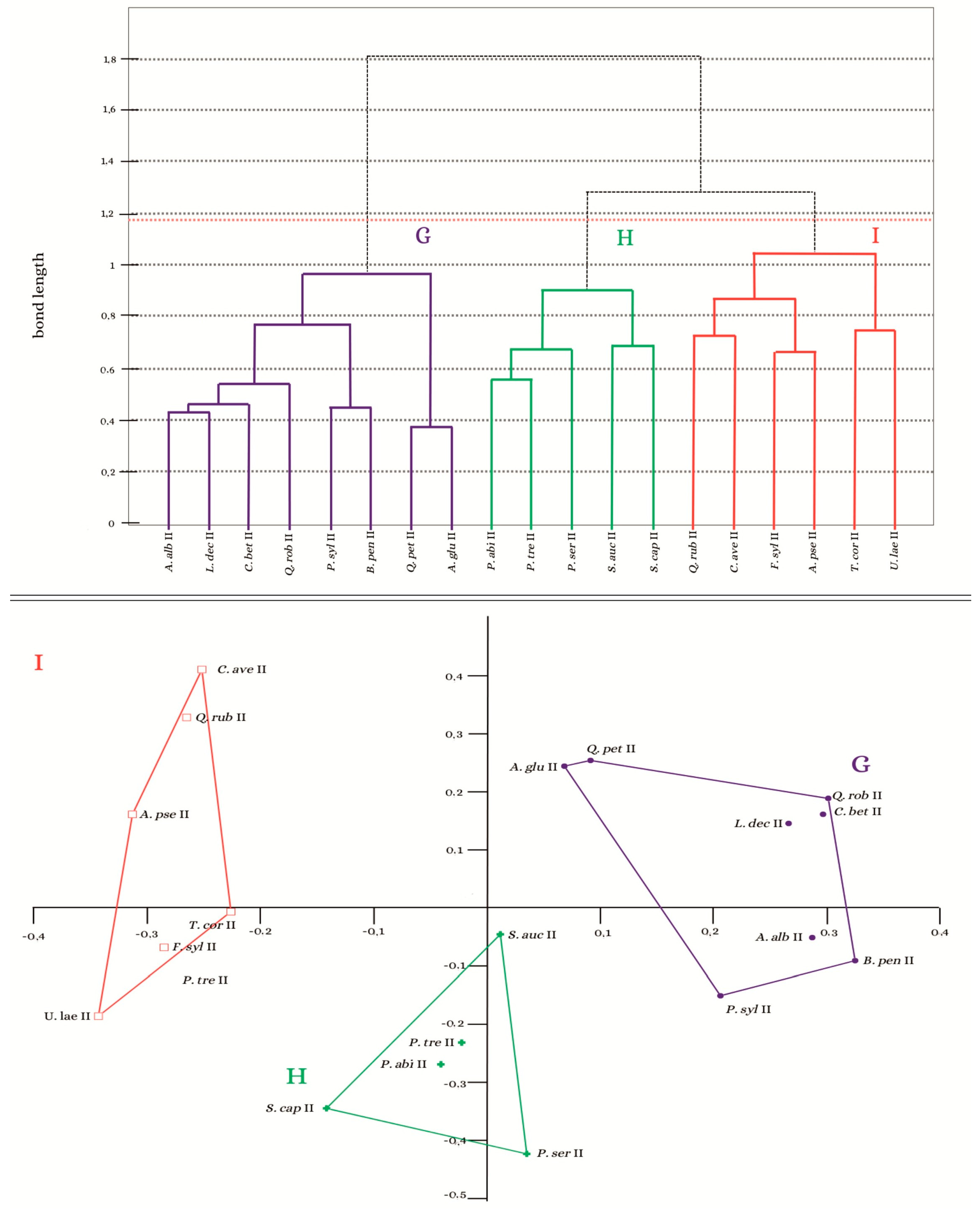 Forests 17 00066 g008 Forests 17 00066 g008