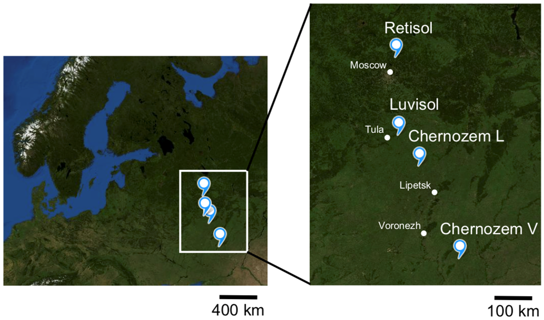 Forests 17 00069 g001