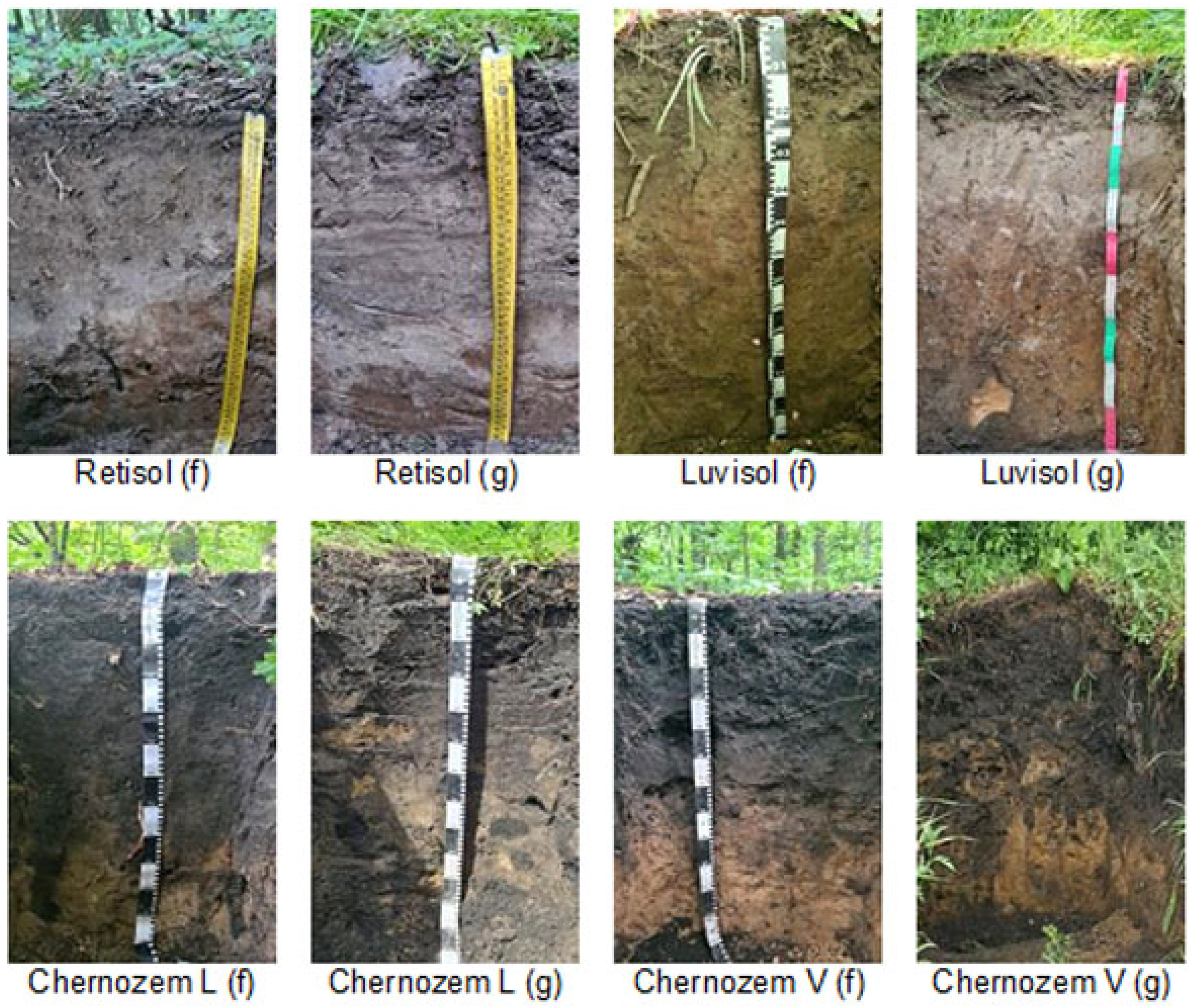 Forests 17 00069 g002
