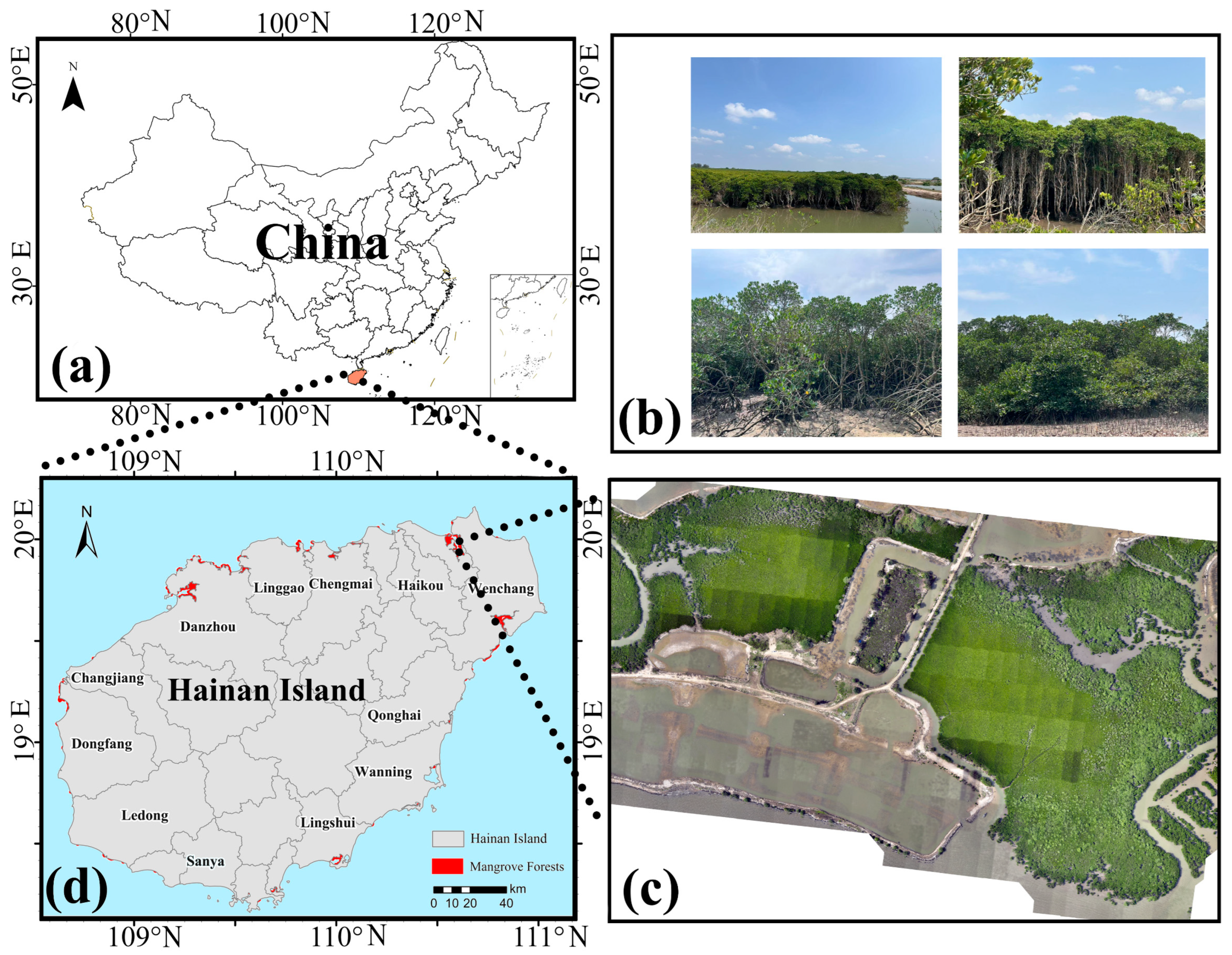 Forests 17 00131 g001